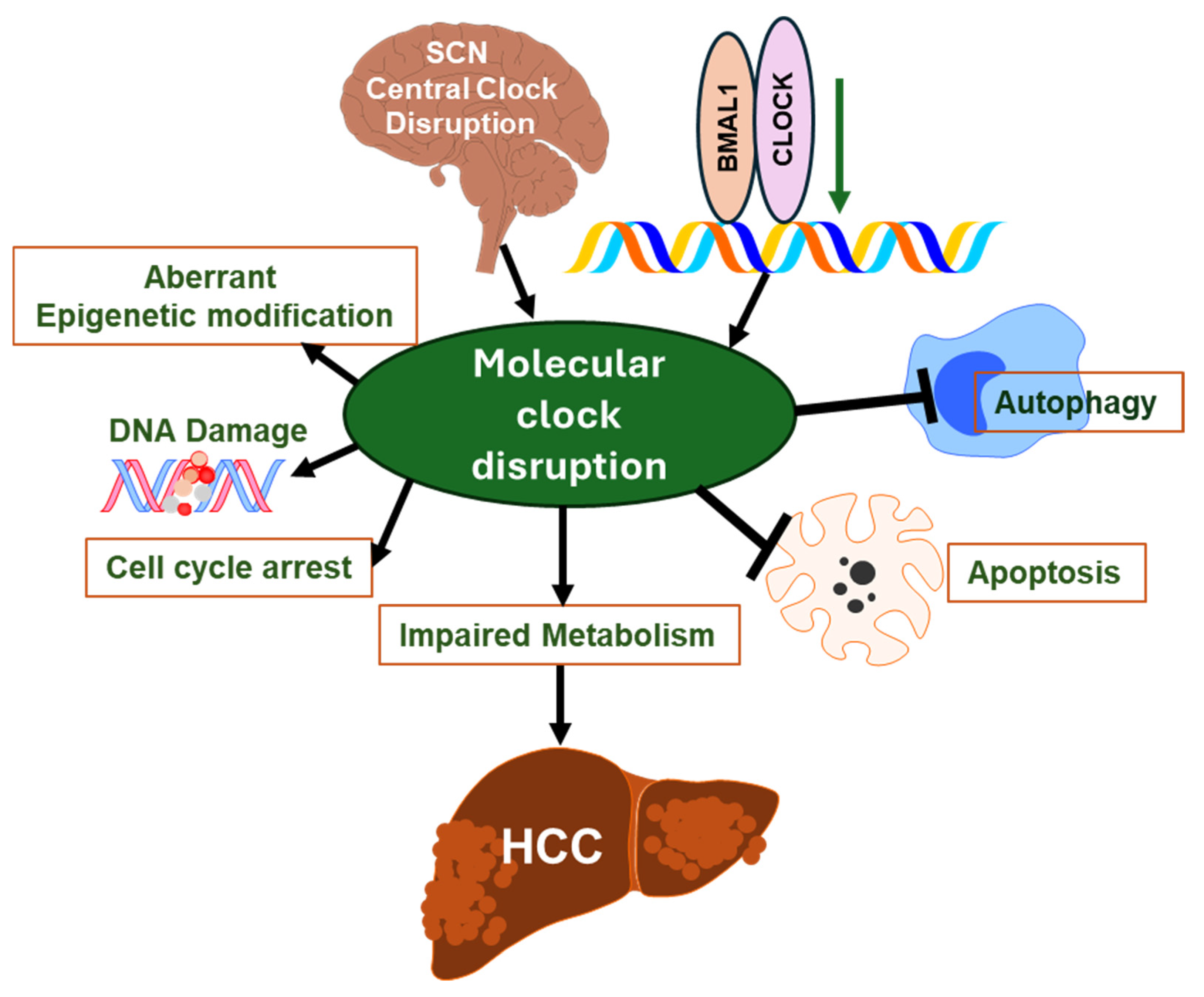 Biomedicines 12 01961 g003