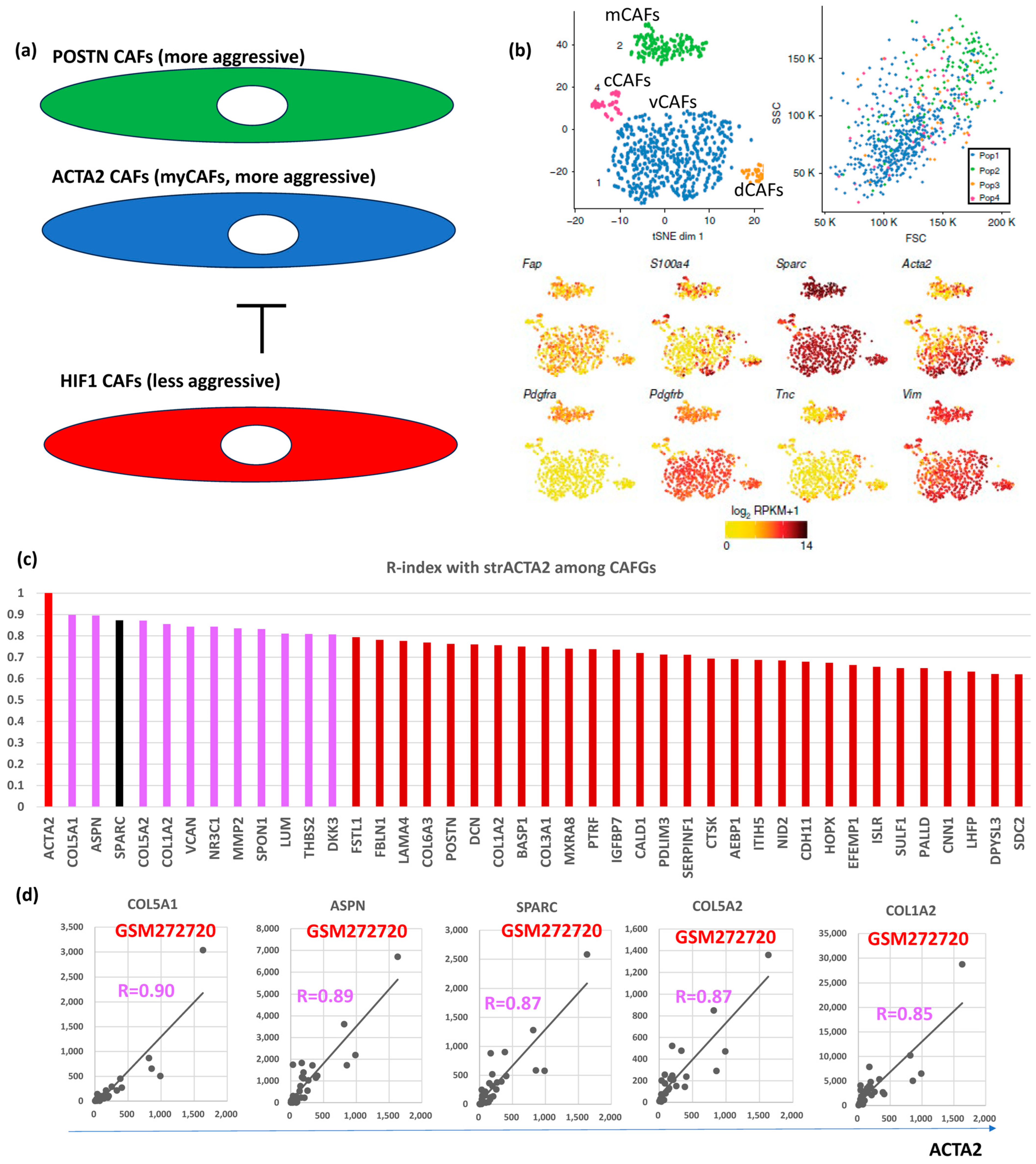 Biomedicines 12 01964 g003 Biomedicines 12 01964 g003