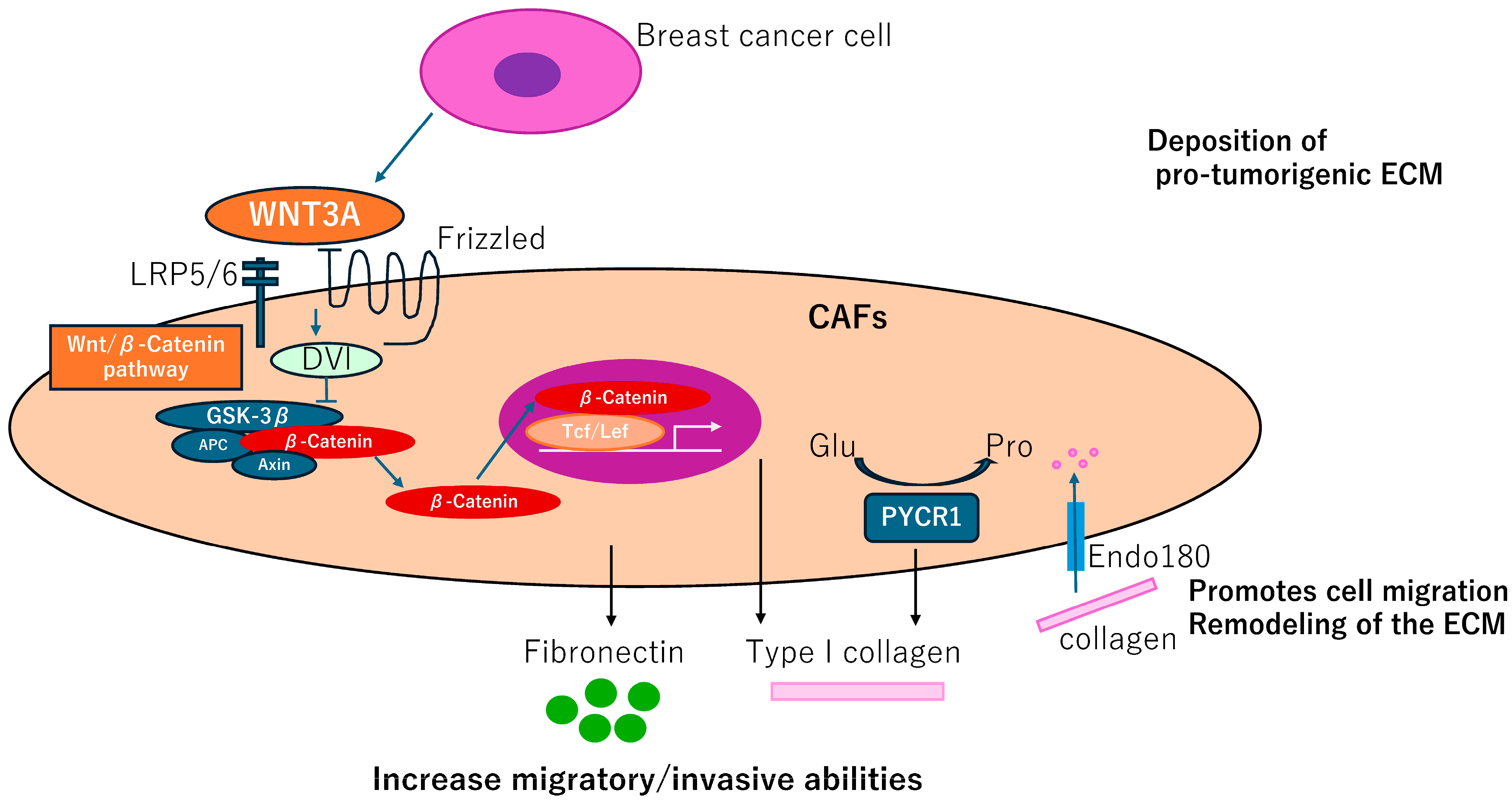 Biomedicines 12 01964 g004 Biomedicines 12 01964 g004