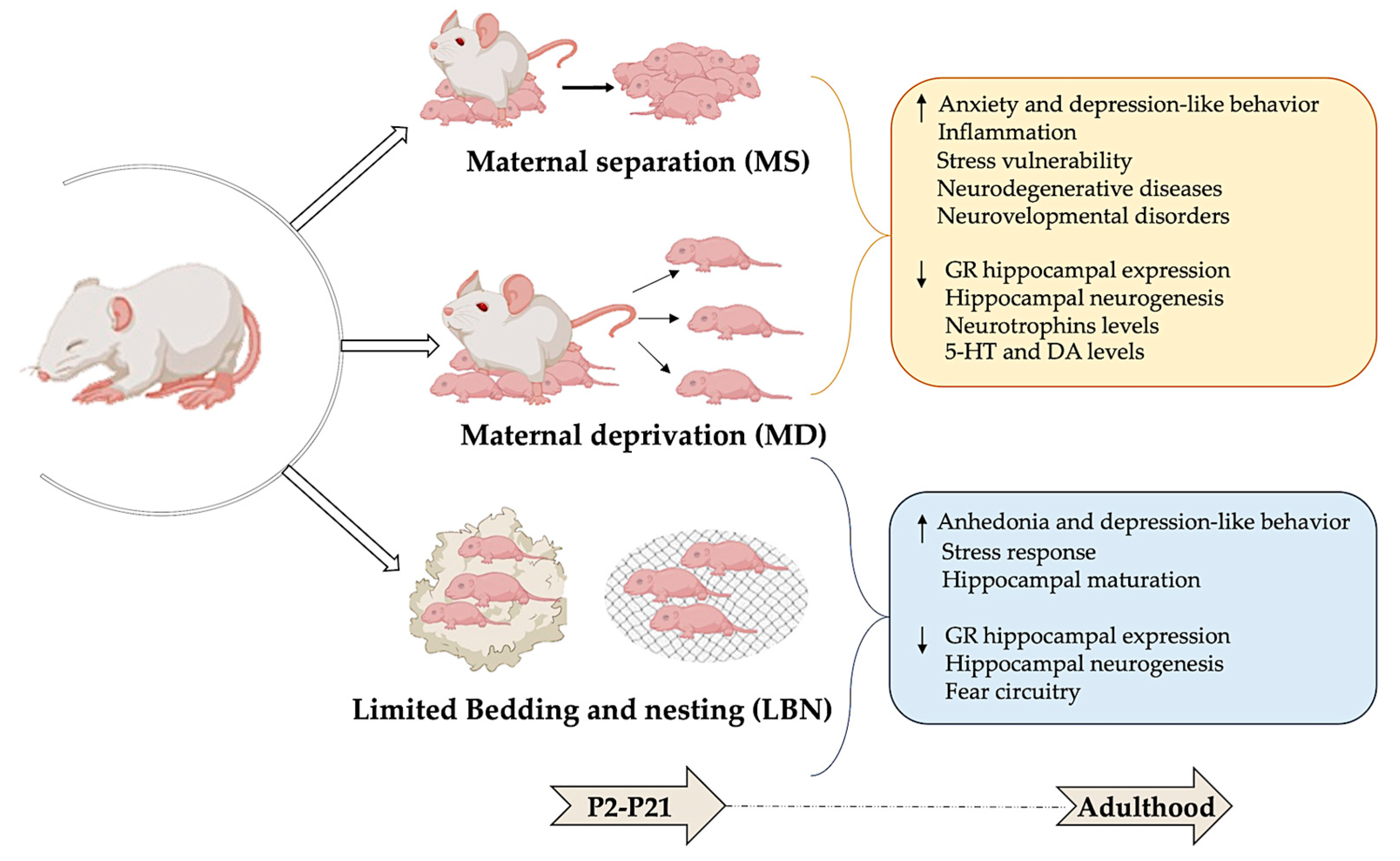 Biomedicines 12 01978 g002