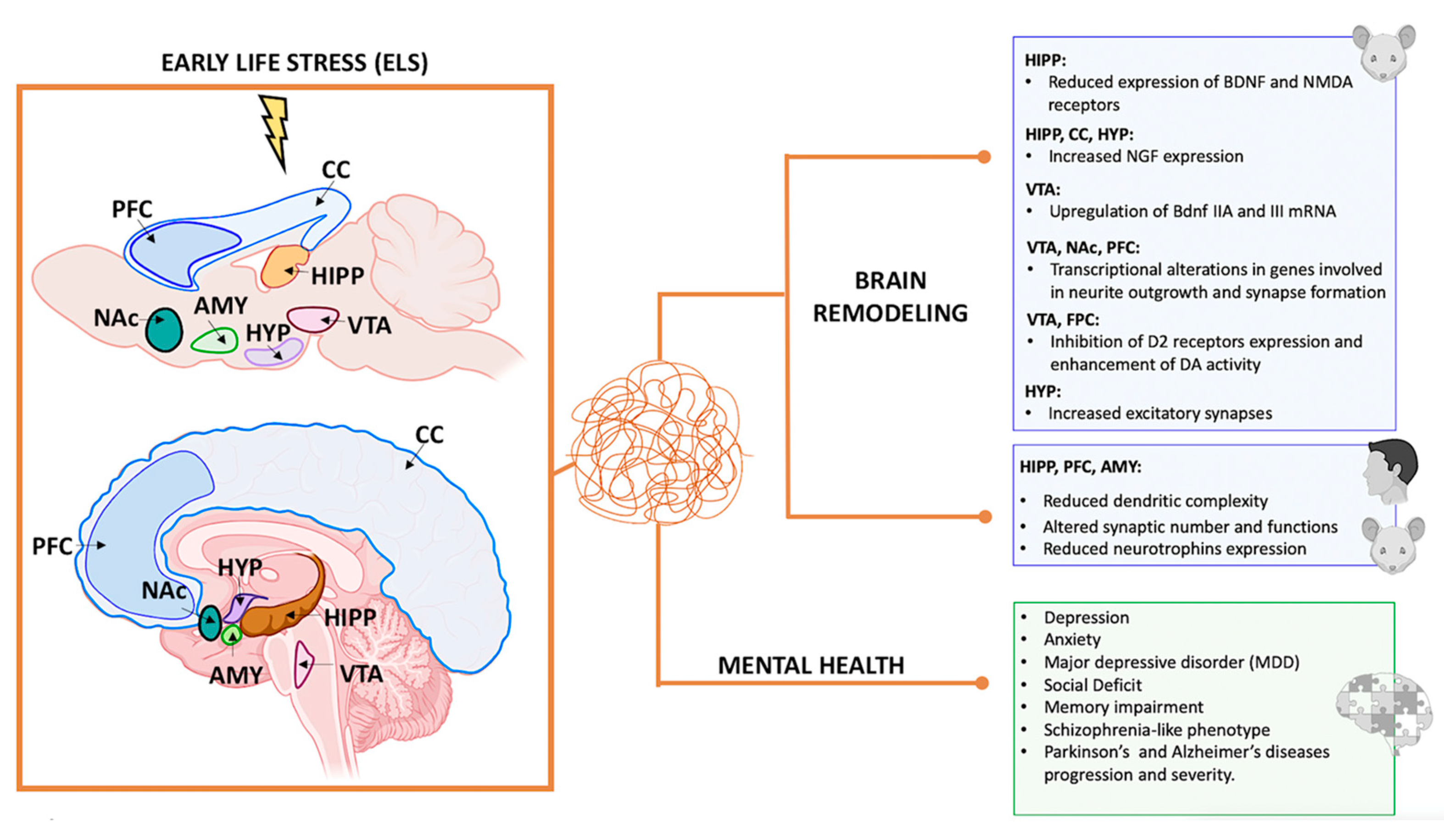 Biomedicines 12 01978 g003