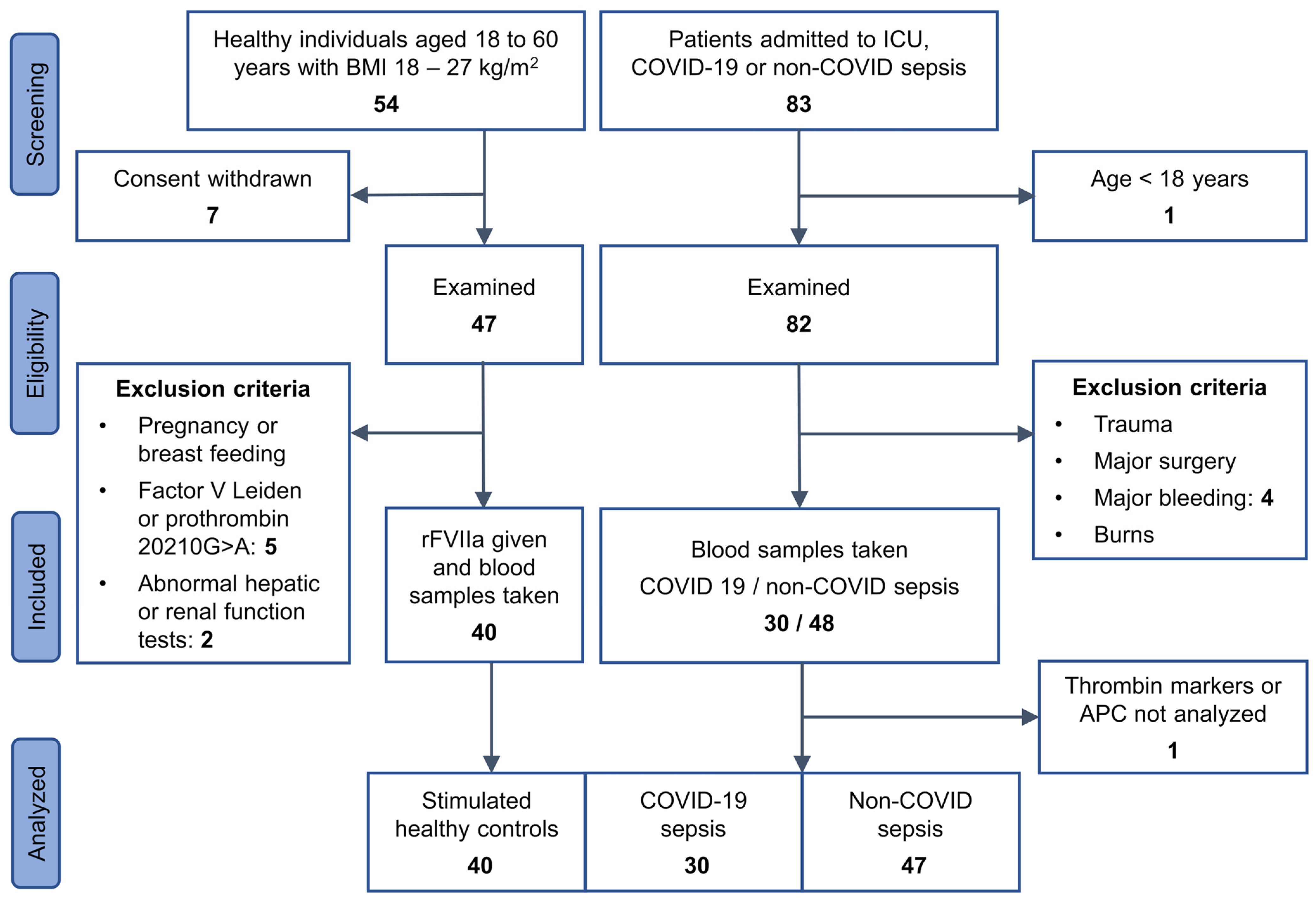 Biomedicines 12 01982 g001