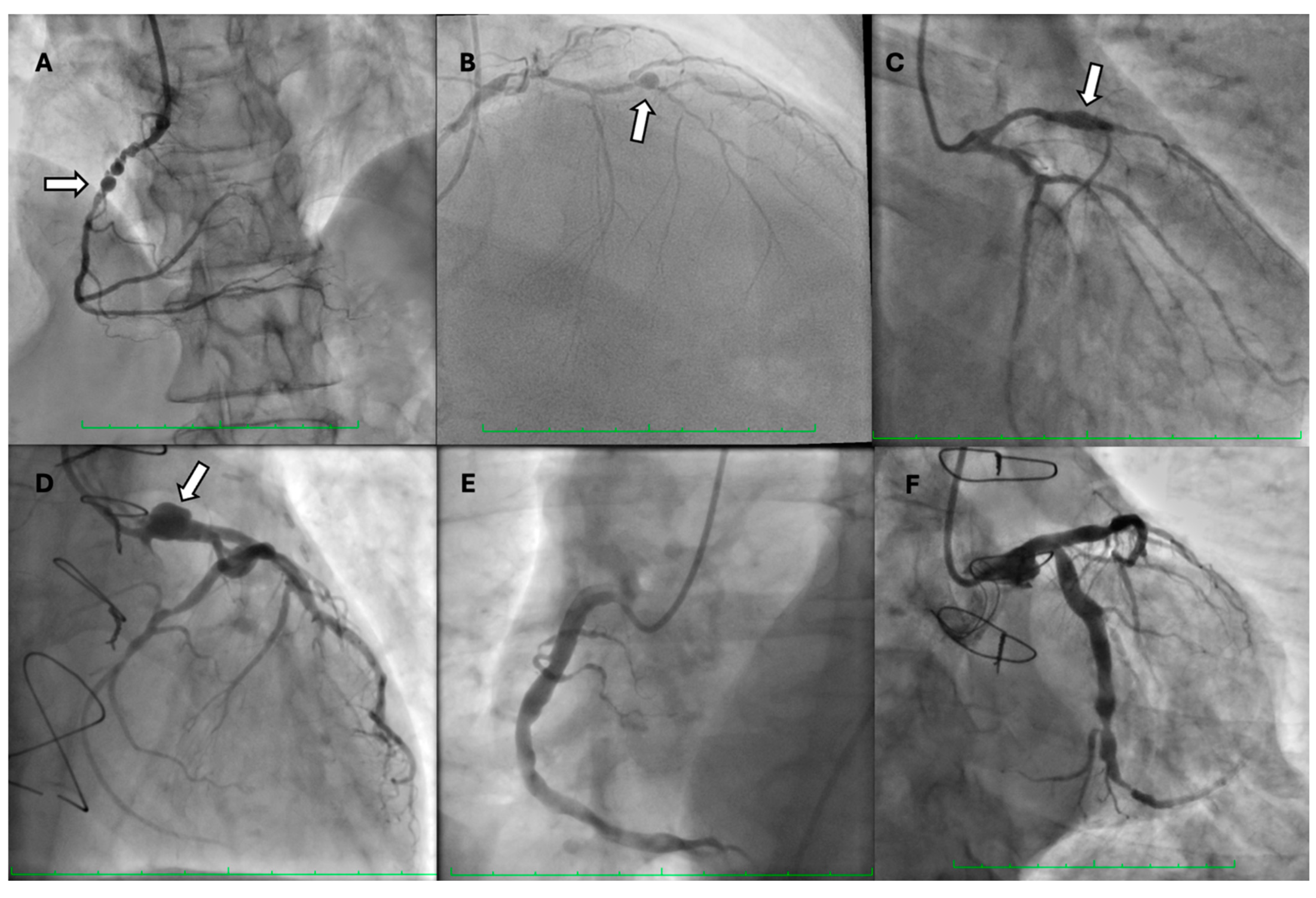Biomedicines 12 01984 g002