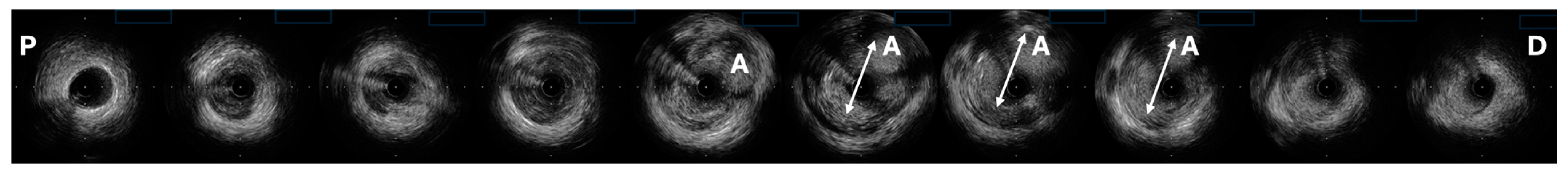 Biomedicines 12 01984 g004
