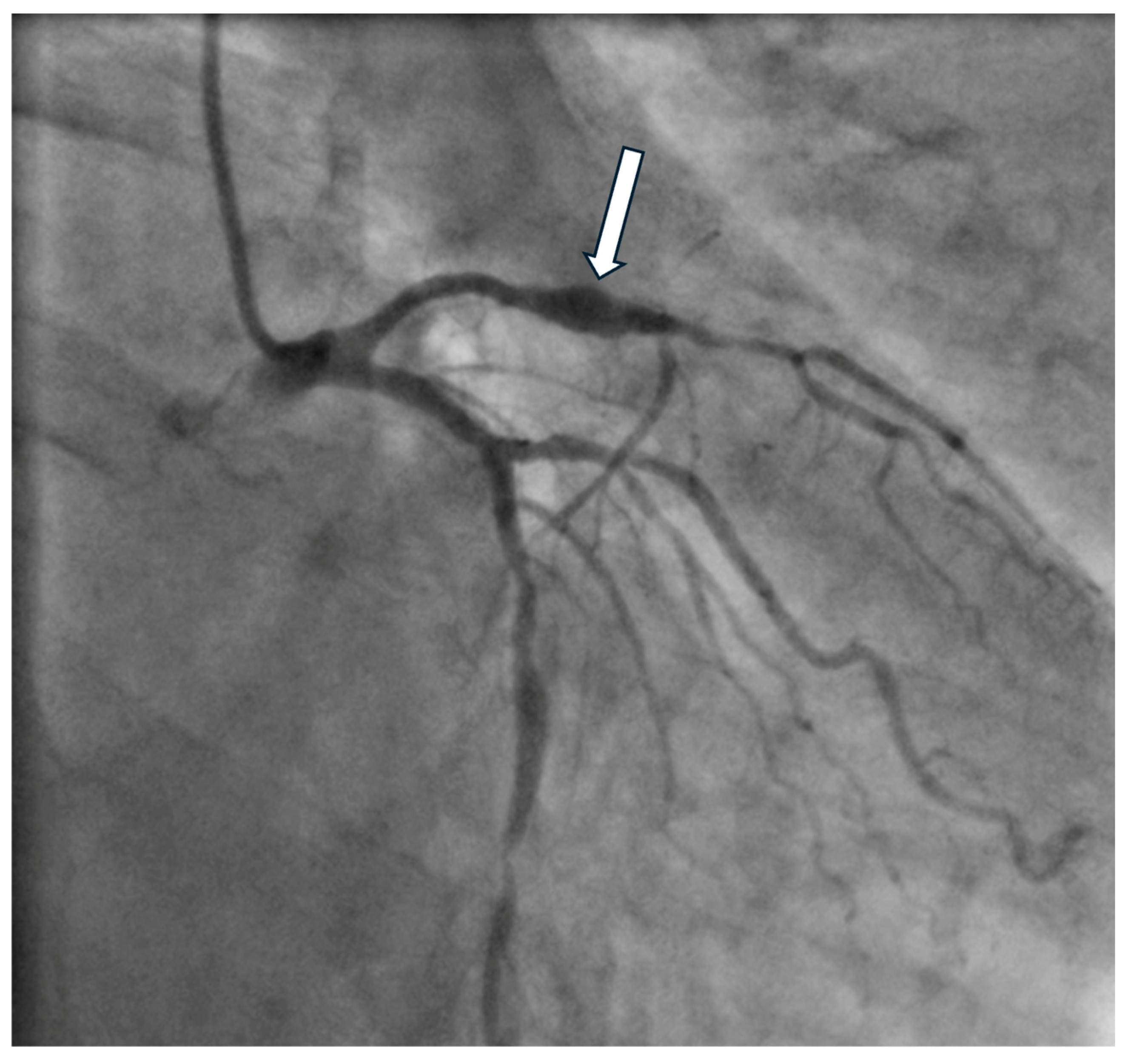 Biomedicines 12 01984 g005