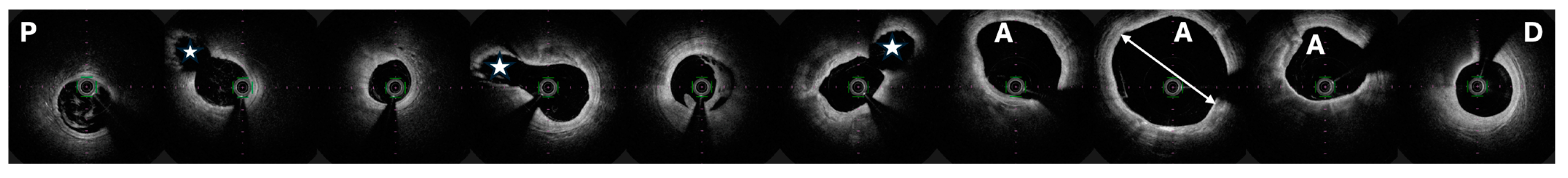 Biomedicines 12 01984 g006