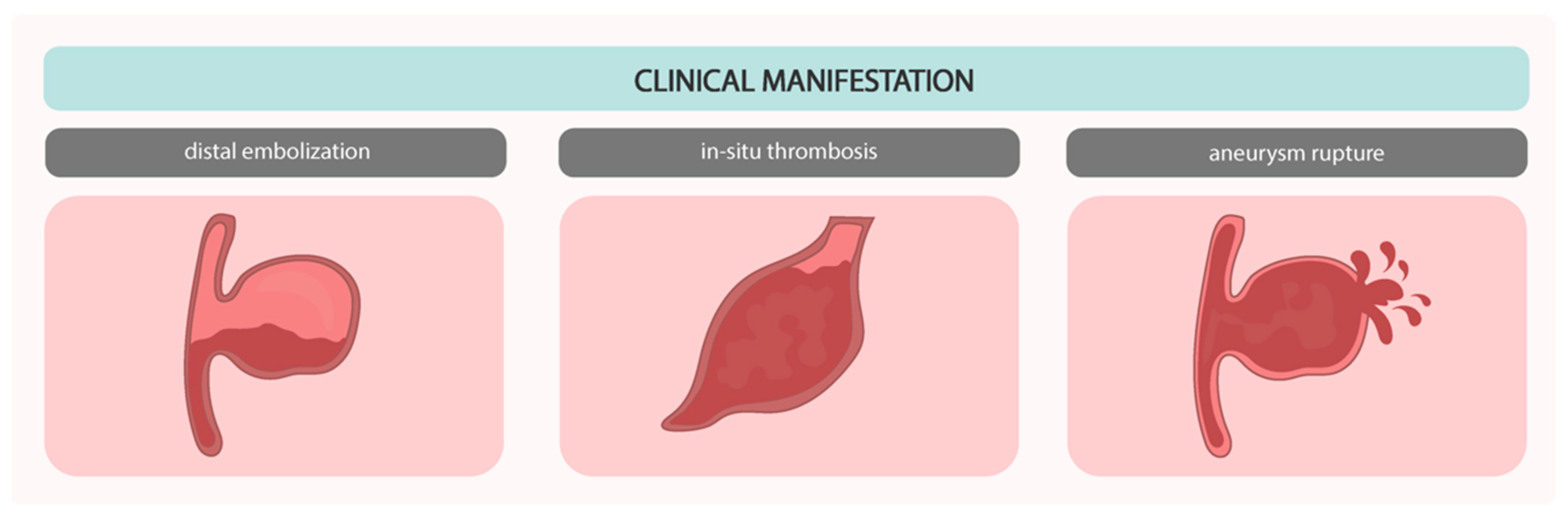 Biomedicines 12 01984 g008