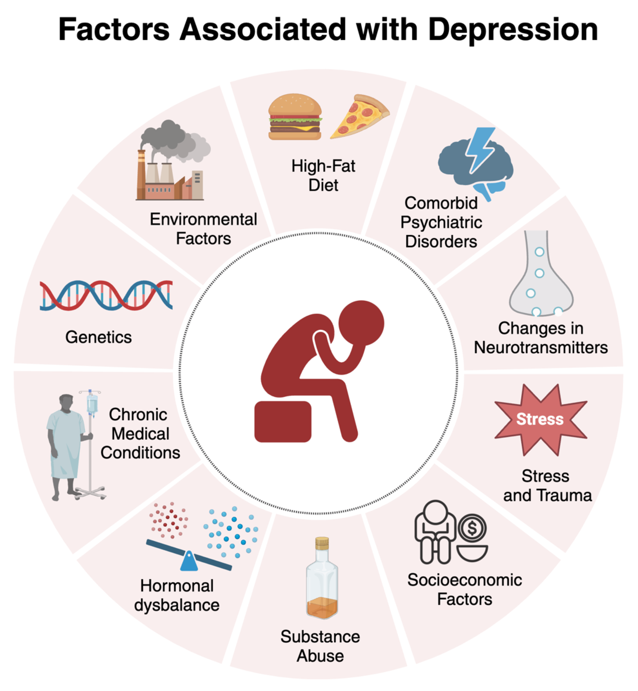 Biomedicines 12 01994 g001