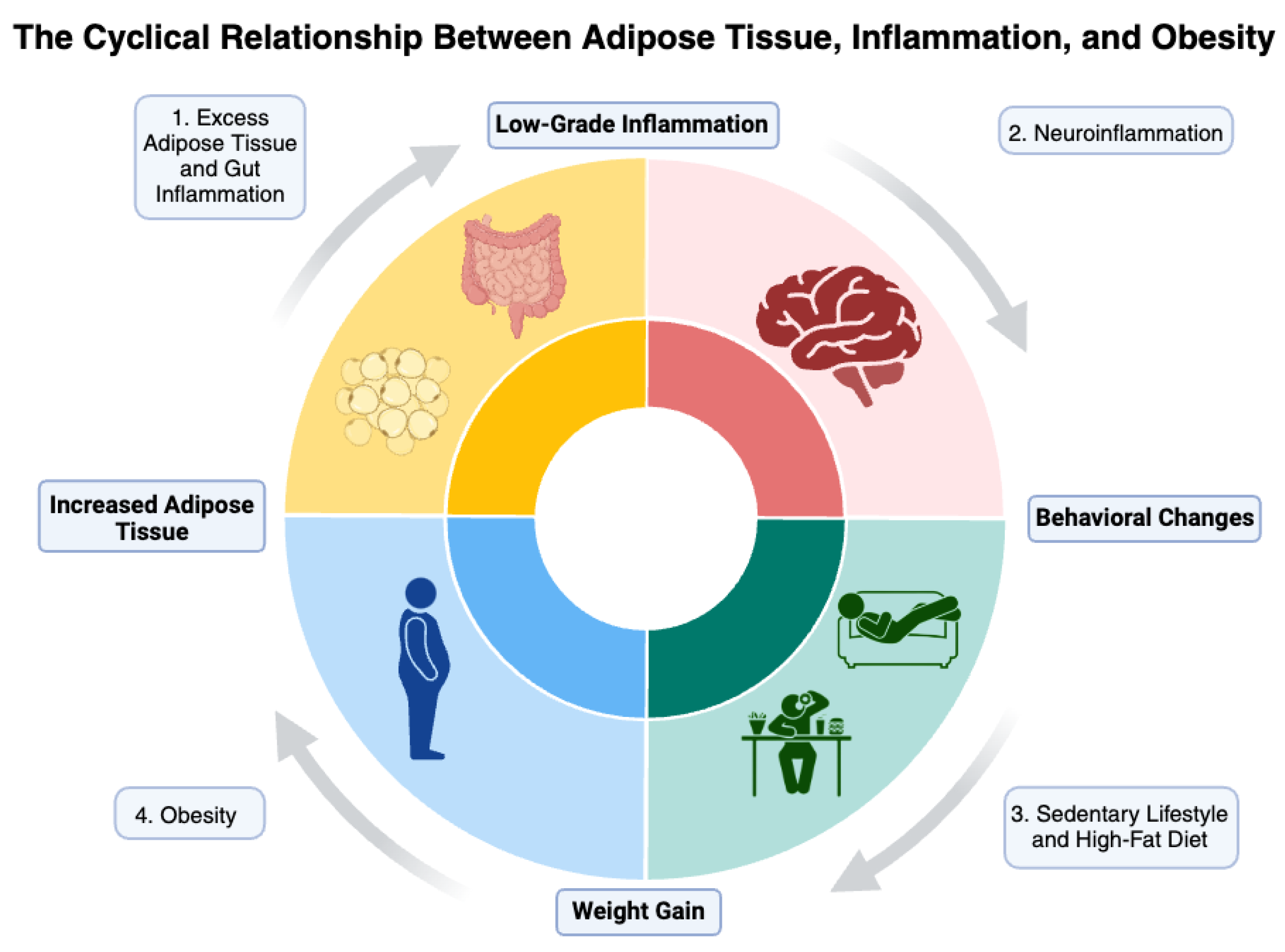 Biomedicines 12 01994 g002