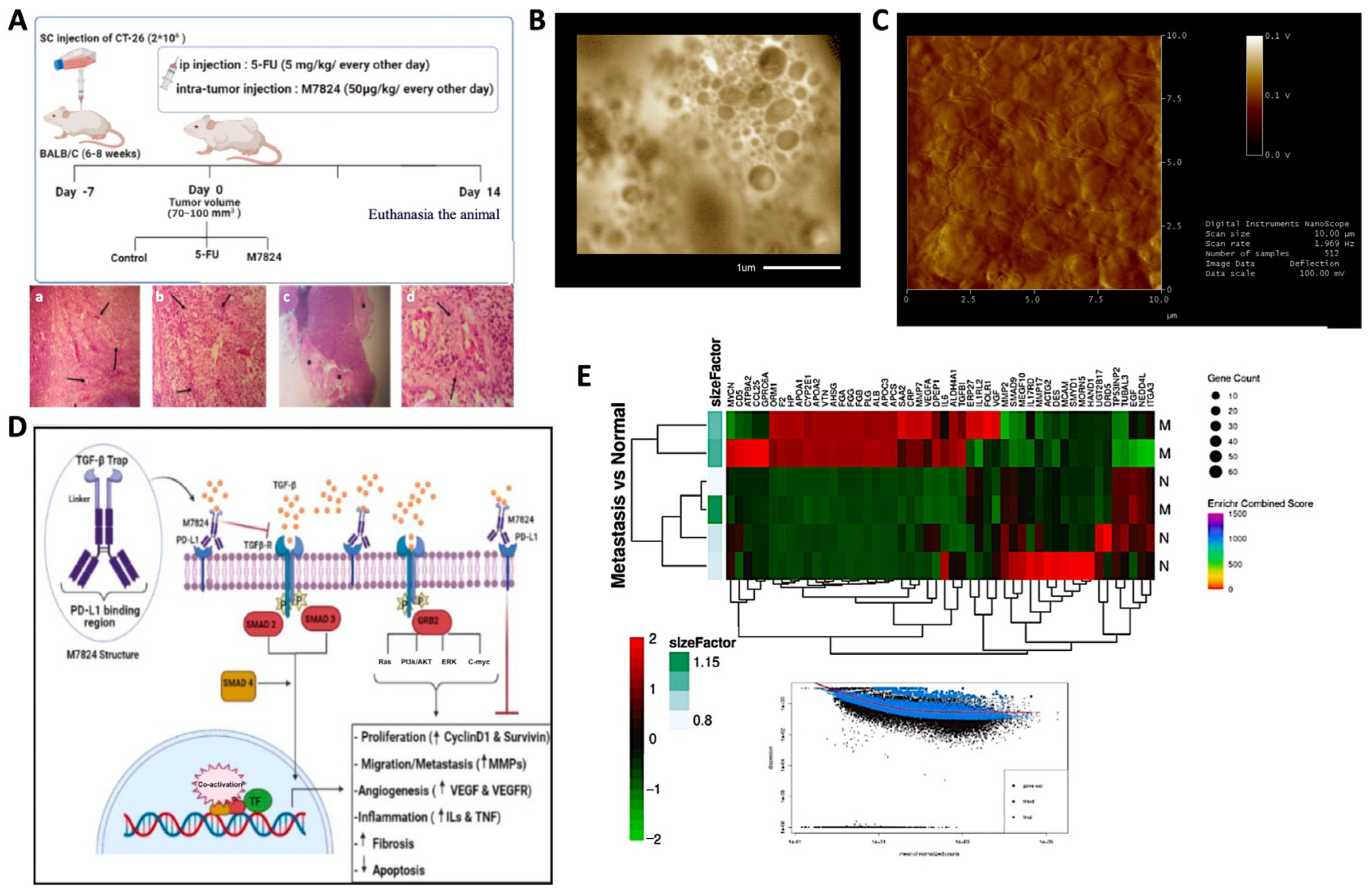 Biomedicines 12 02002 g004