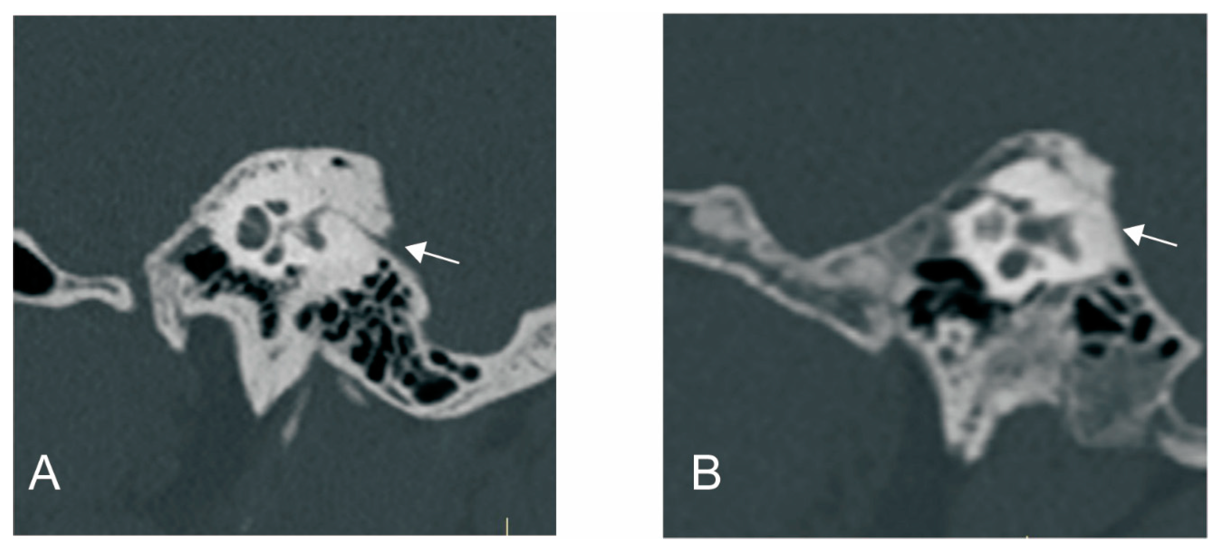 Biomedicines 12 02008 g001