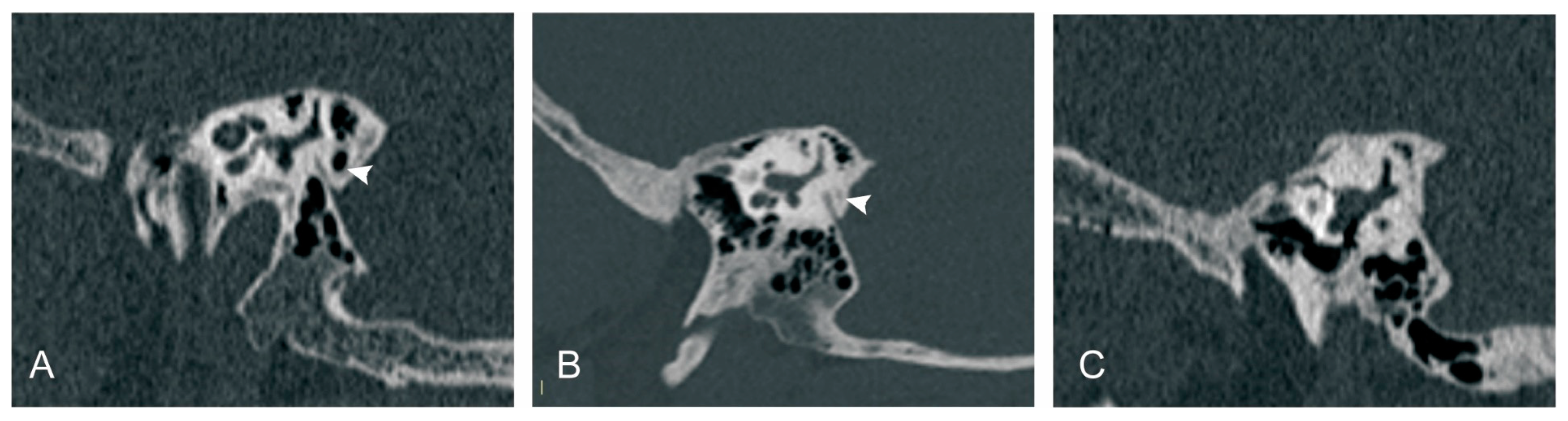 Biomedicines 12 02008 g003
