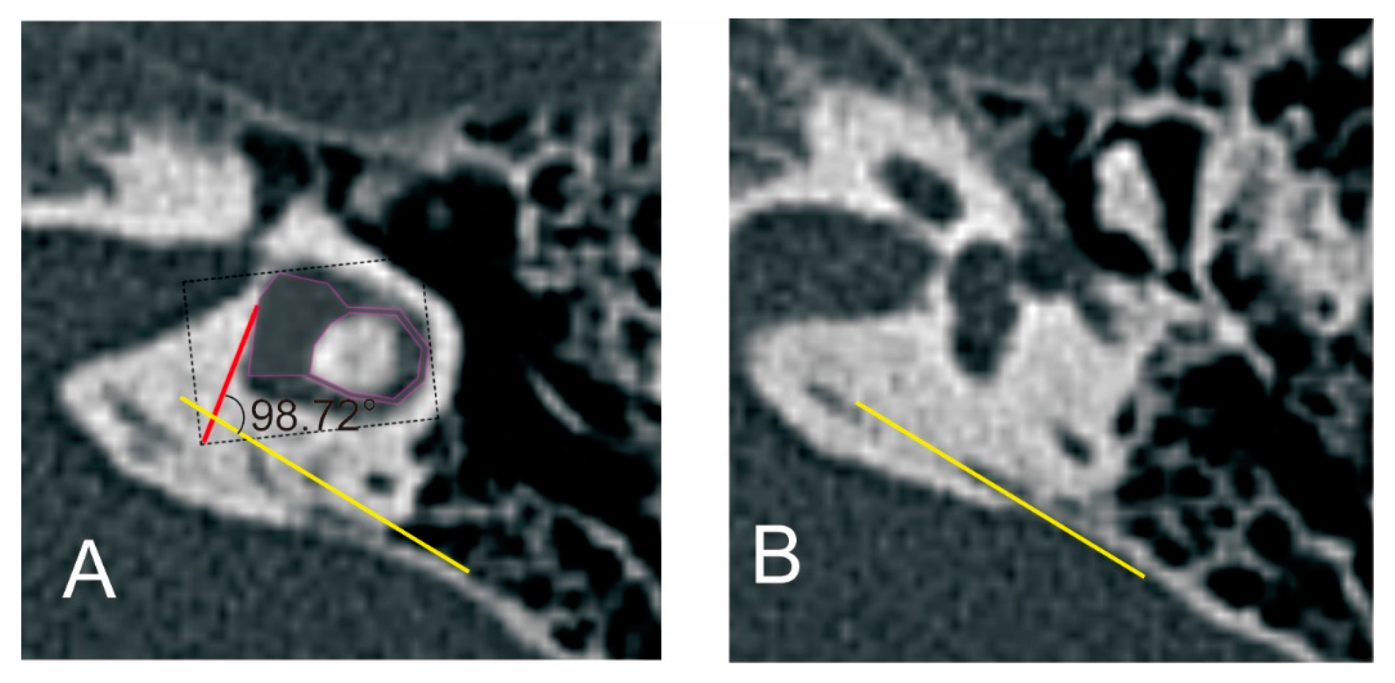 Biomedicines 12 02008 g006