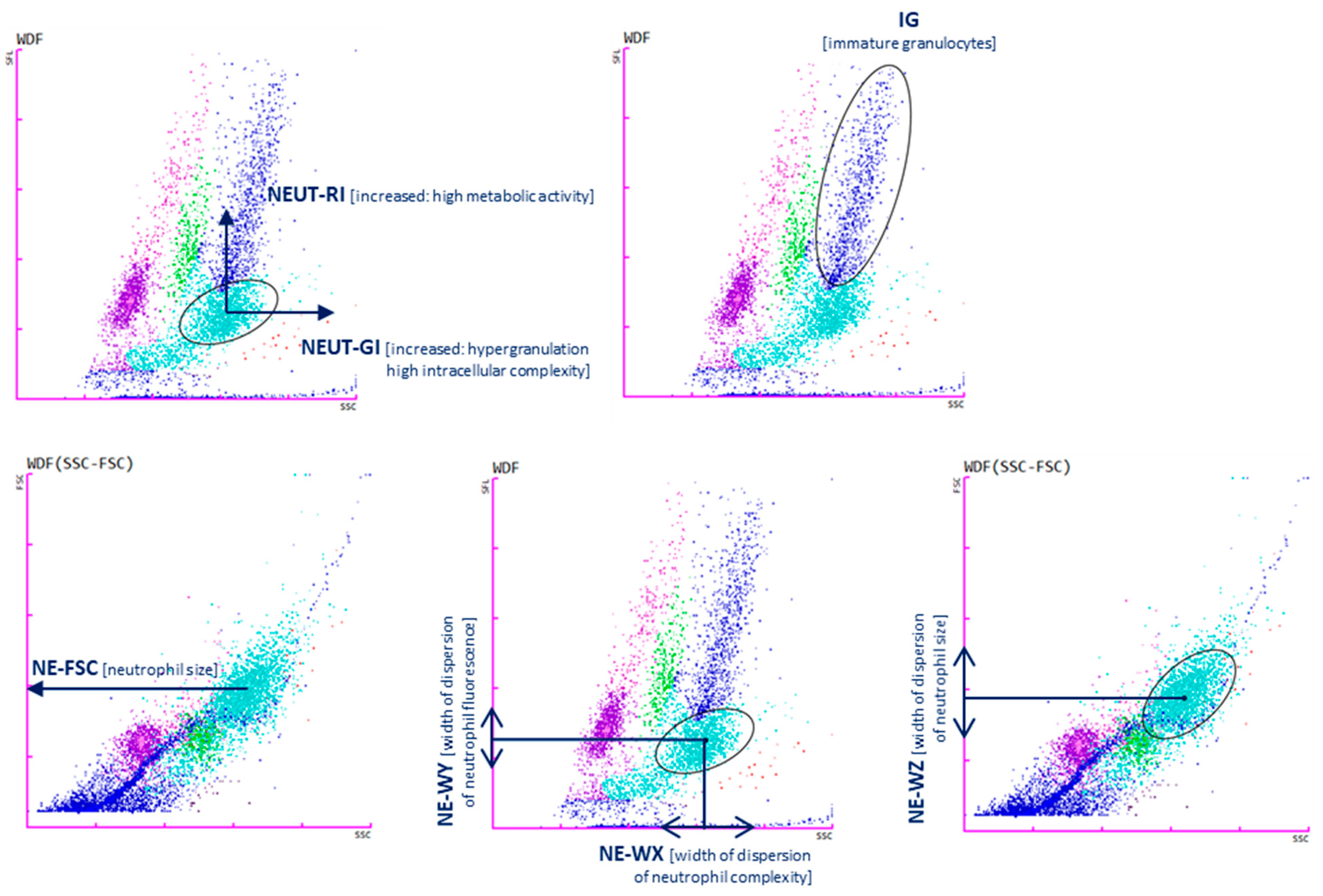 Biomedicines 12 02016 g001