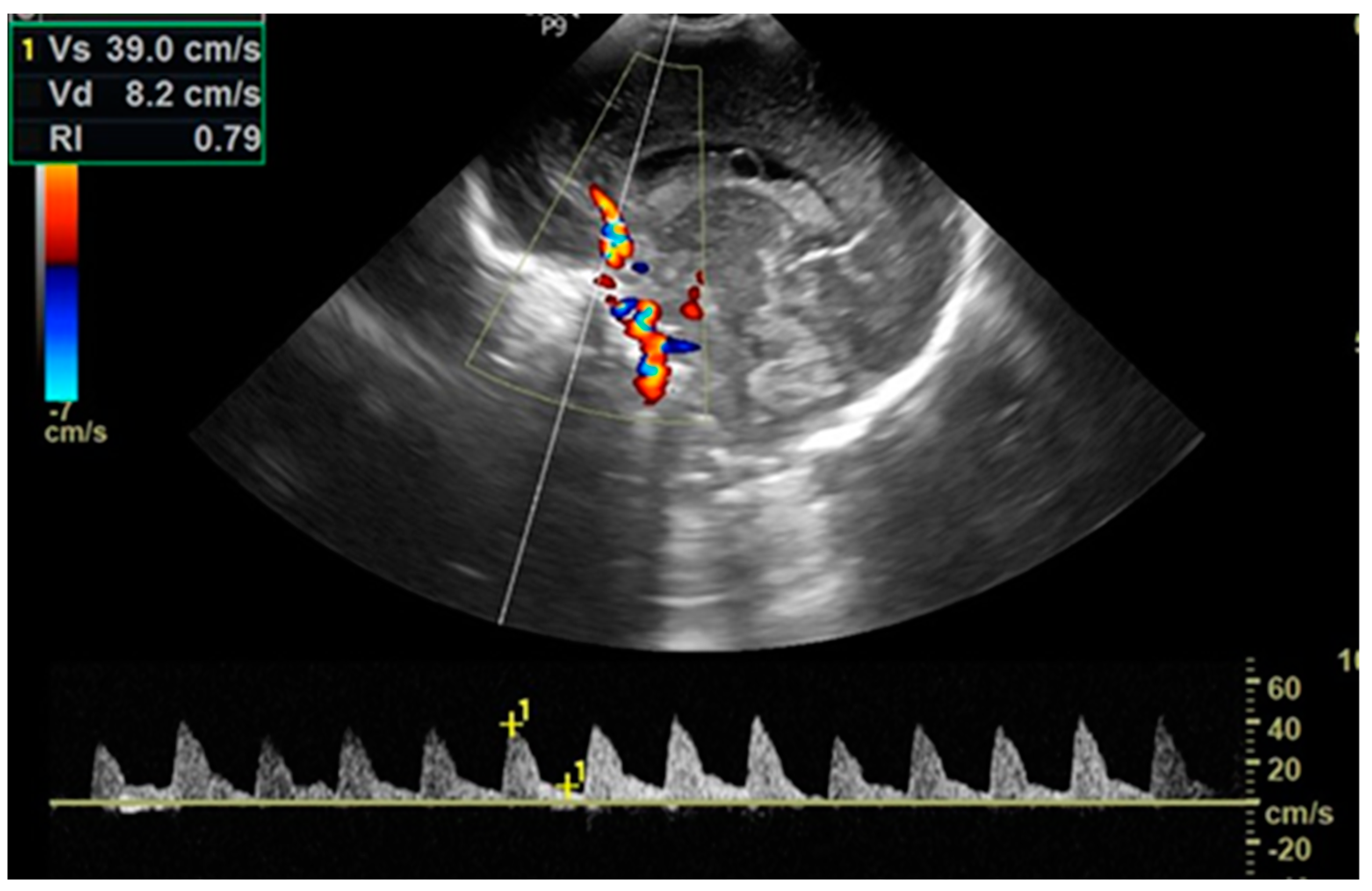 Biomedicines 12 02018 g002