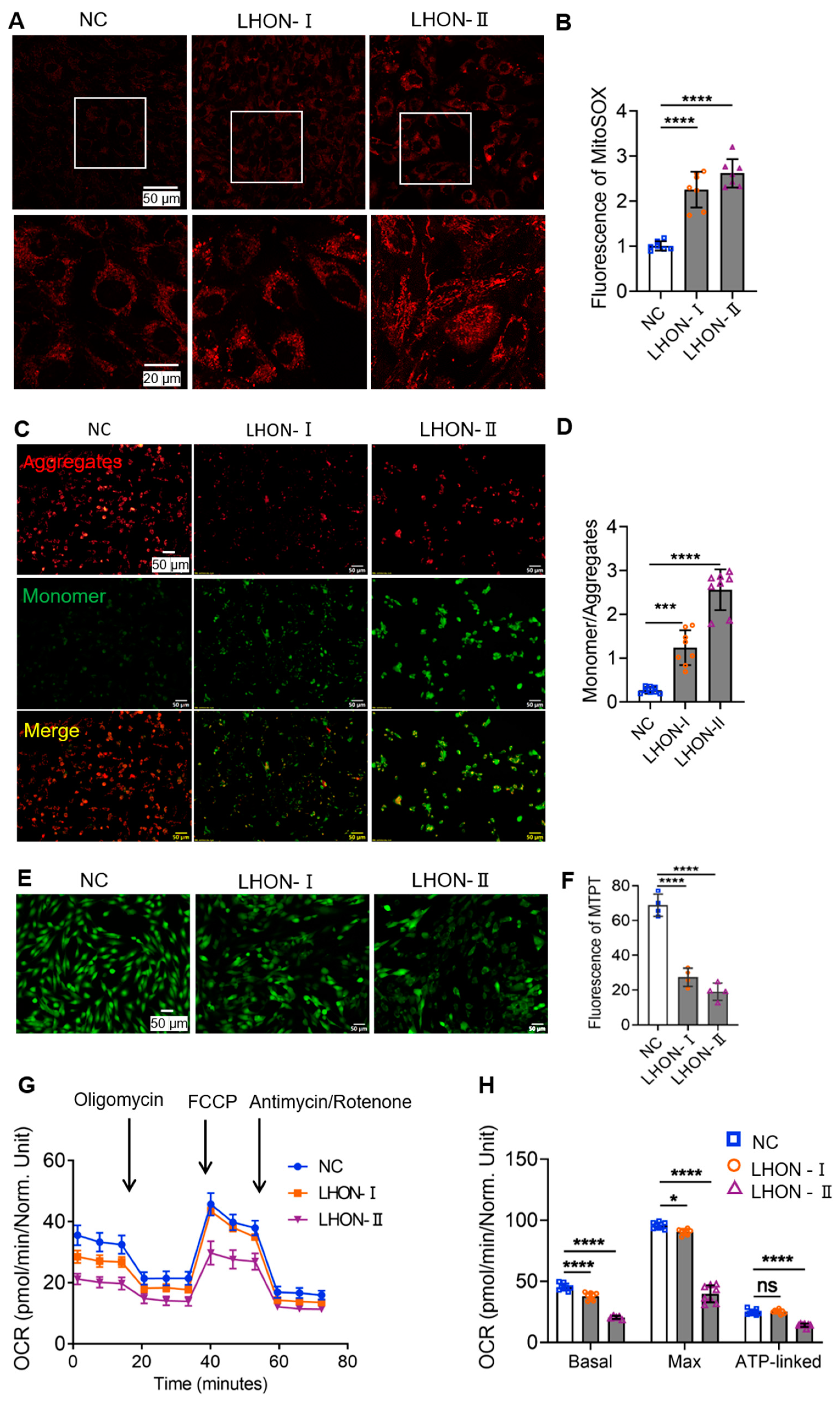Biomedicines 12 02020 g001