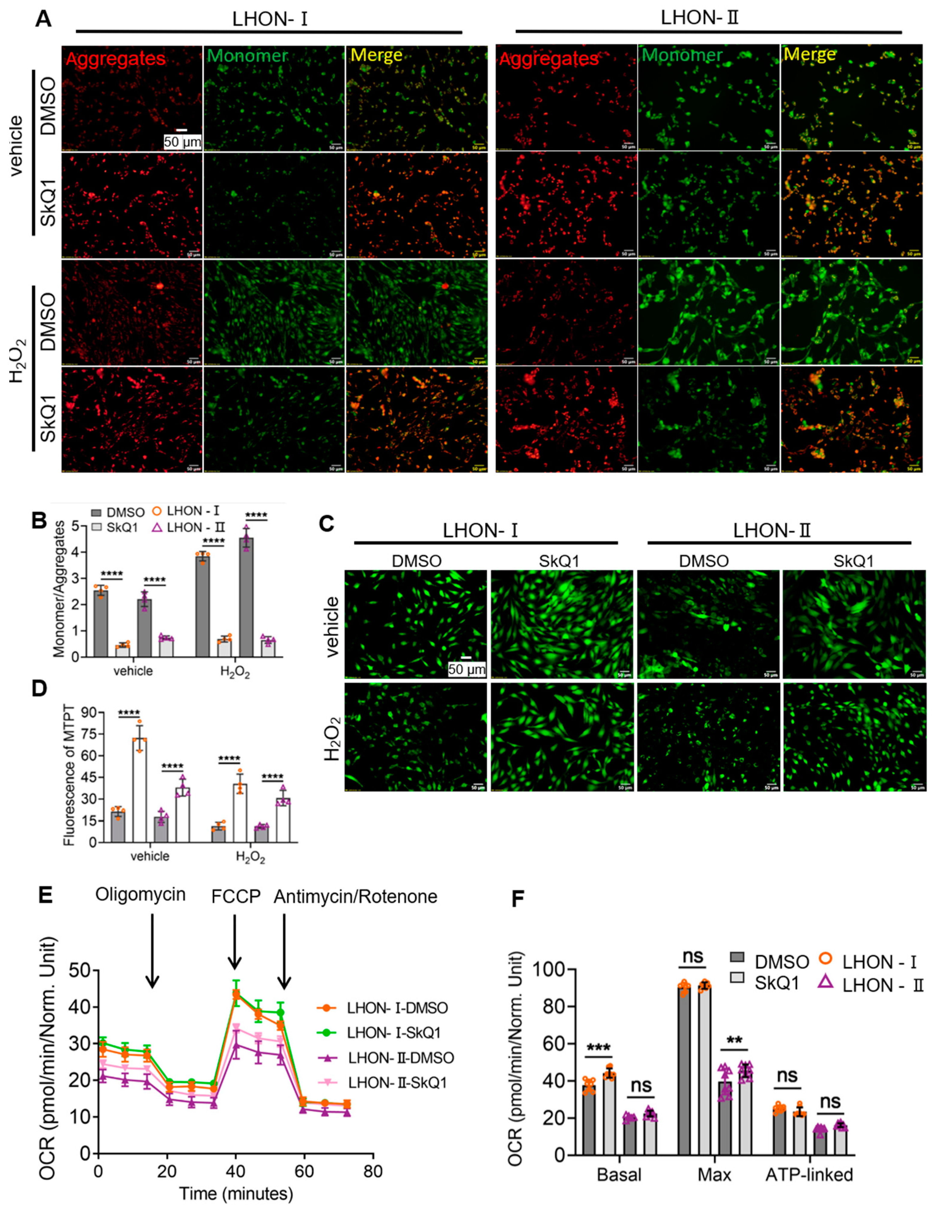 Biomedicines 12 02020 g004