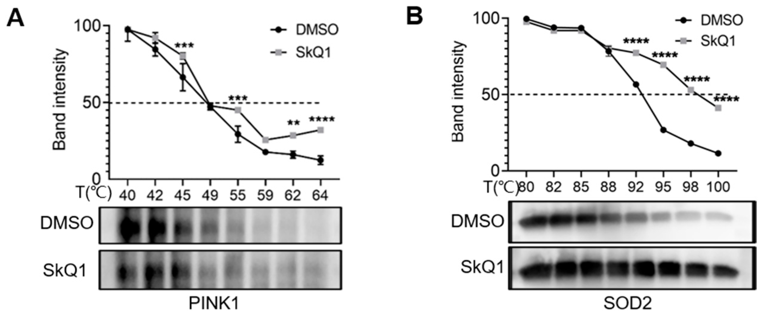 Biomedicines 12 02020 g006
