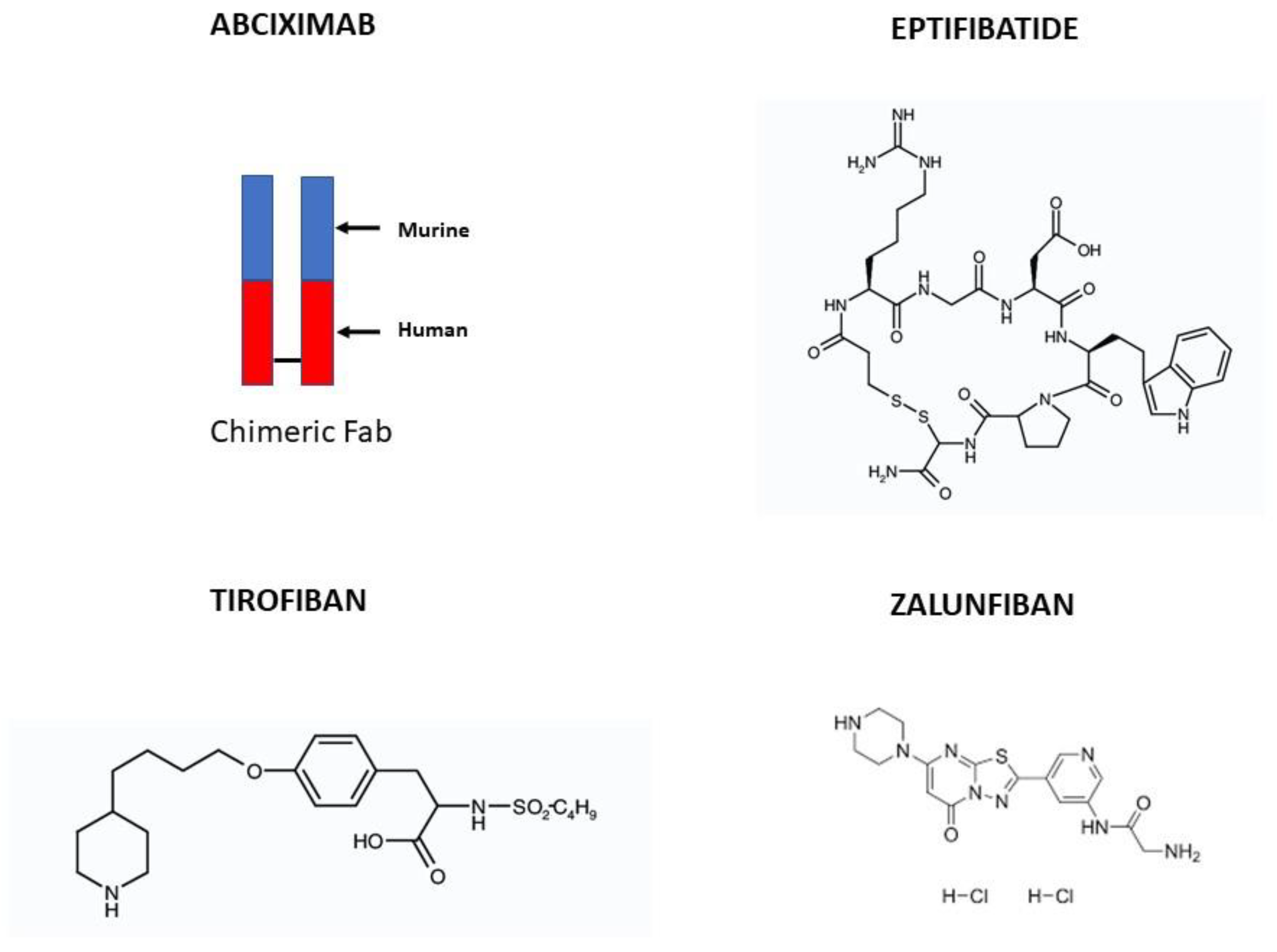 Biomedicines 12 02023 g002 Biomedicines 12 02023 g002