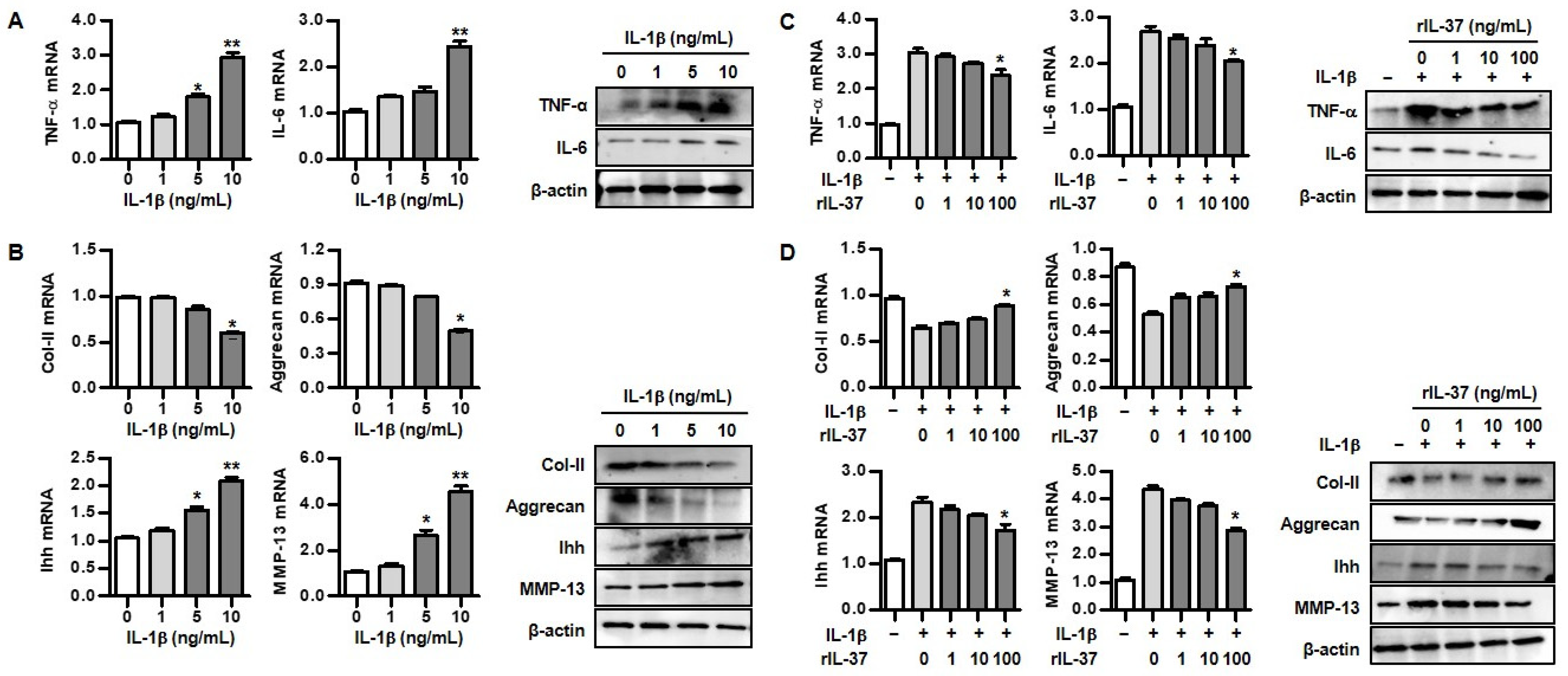 Biomedicines 12 02025 g002