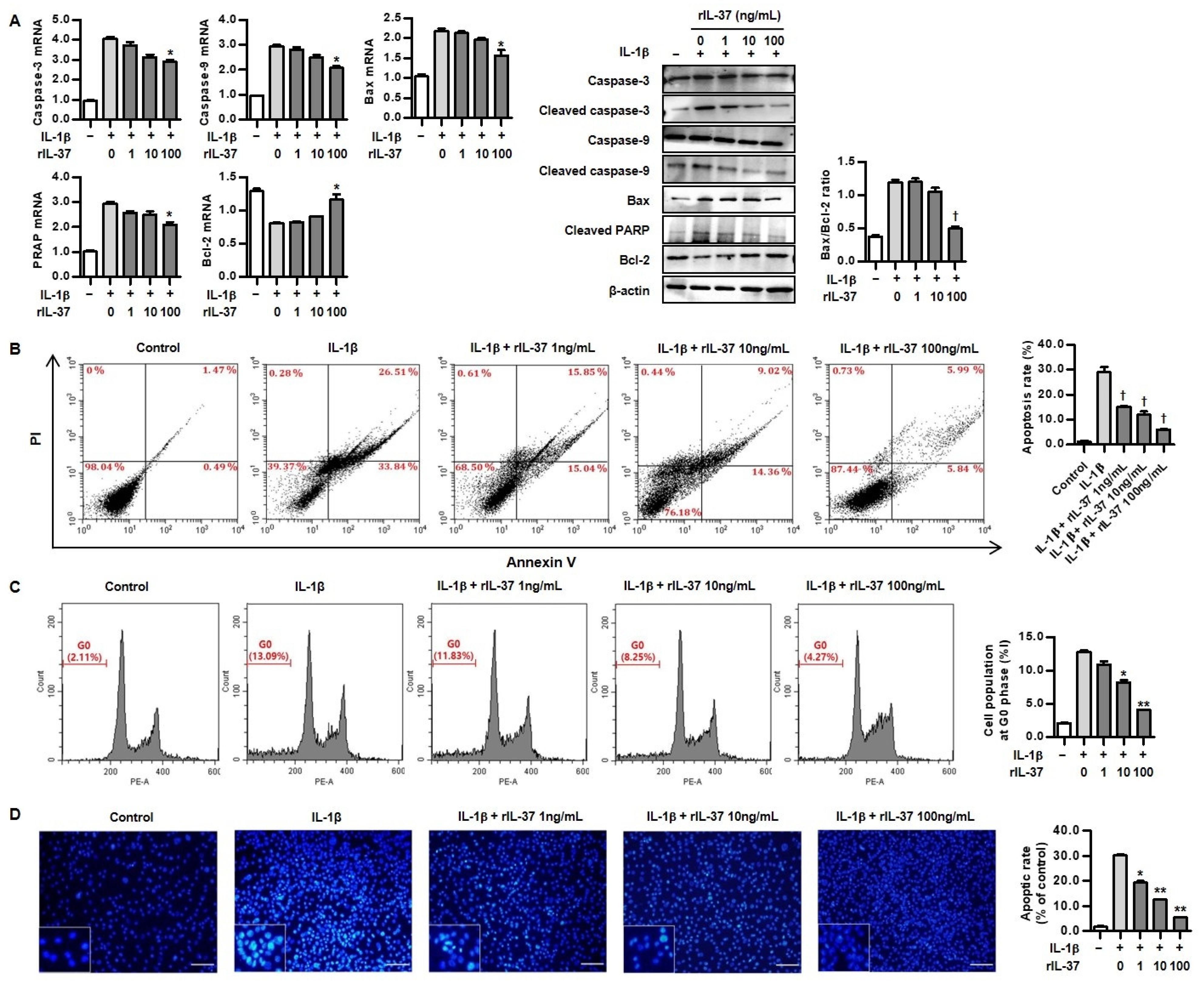 Biomedicines 12 02025 g005