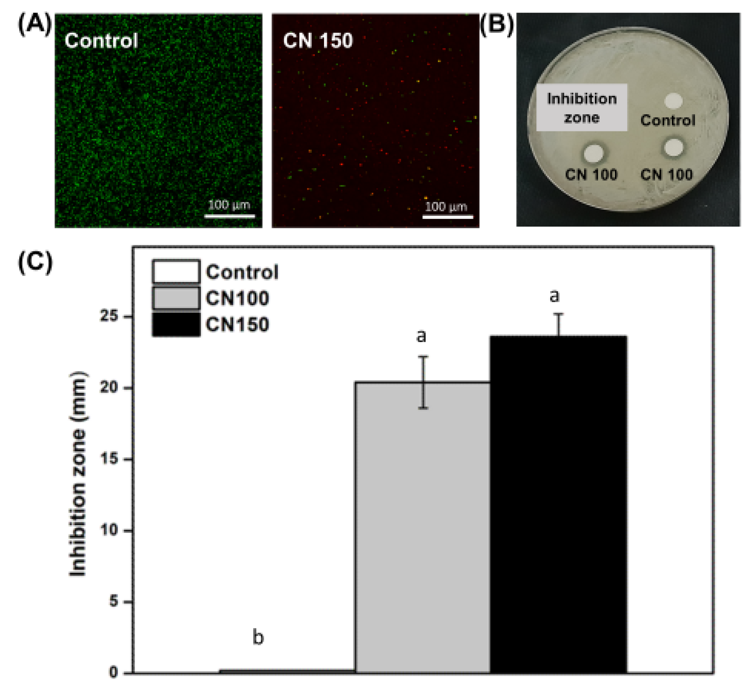 Biomedicines 12 02029 g001