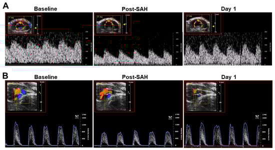 Biomedicines 12 02033 g0s2