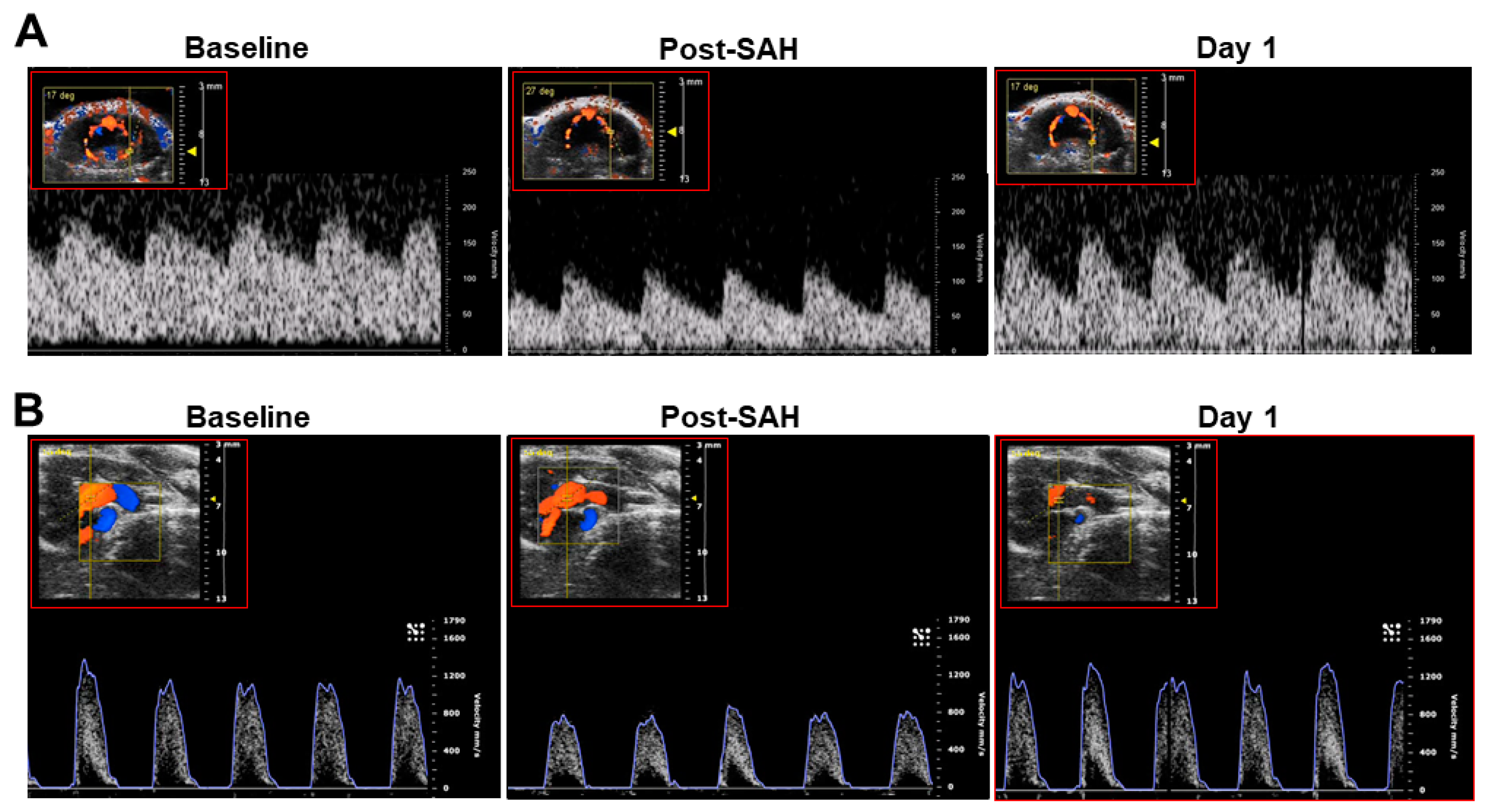 Biomedicines 12 02033 g0s2
