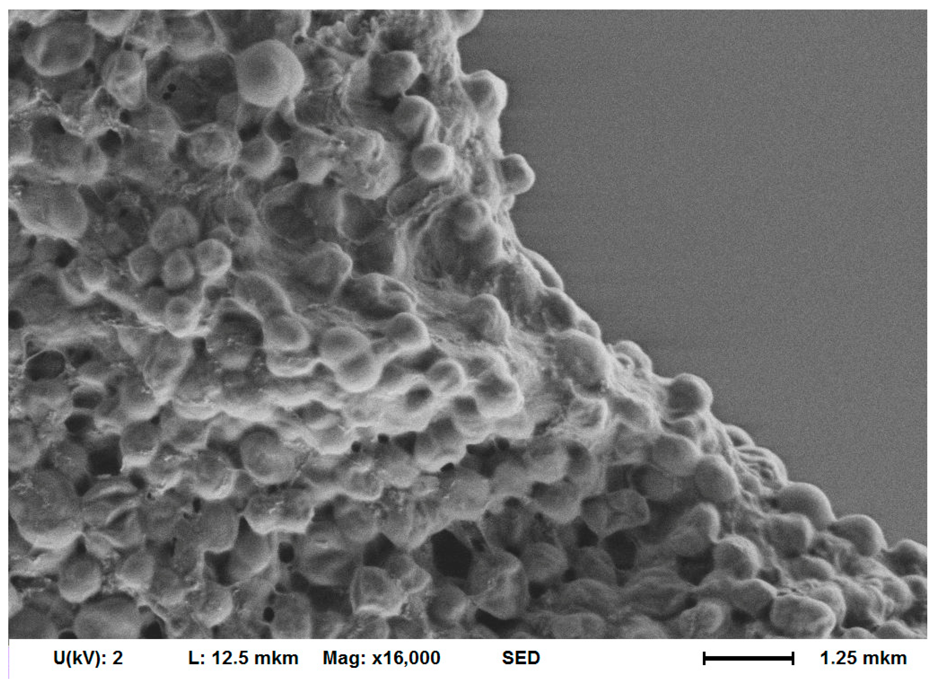 Biomedicines 12 02034 g006