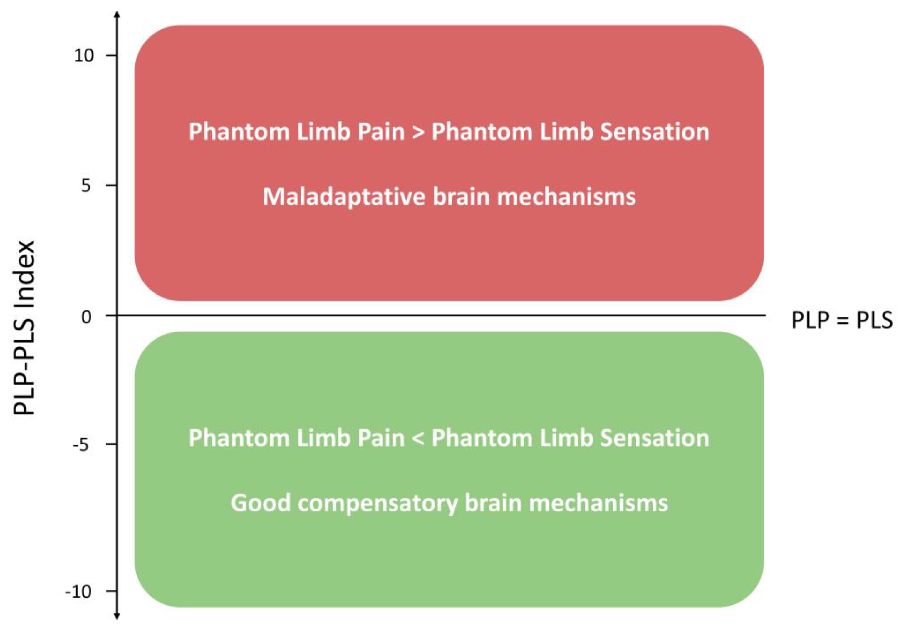 Biomedicines 12 02035 g002
