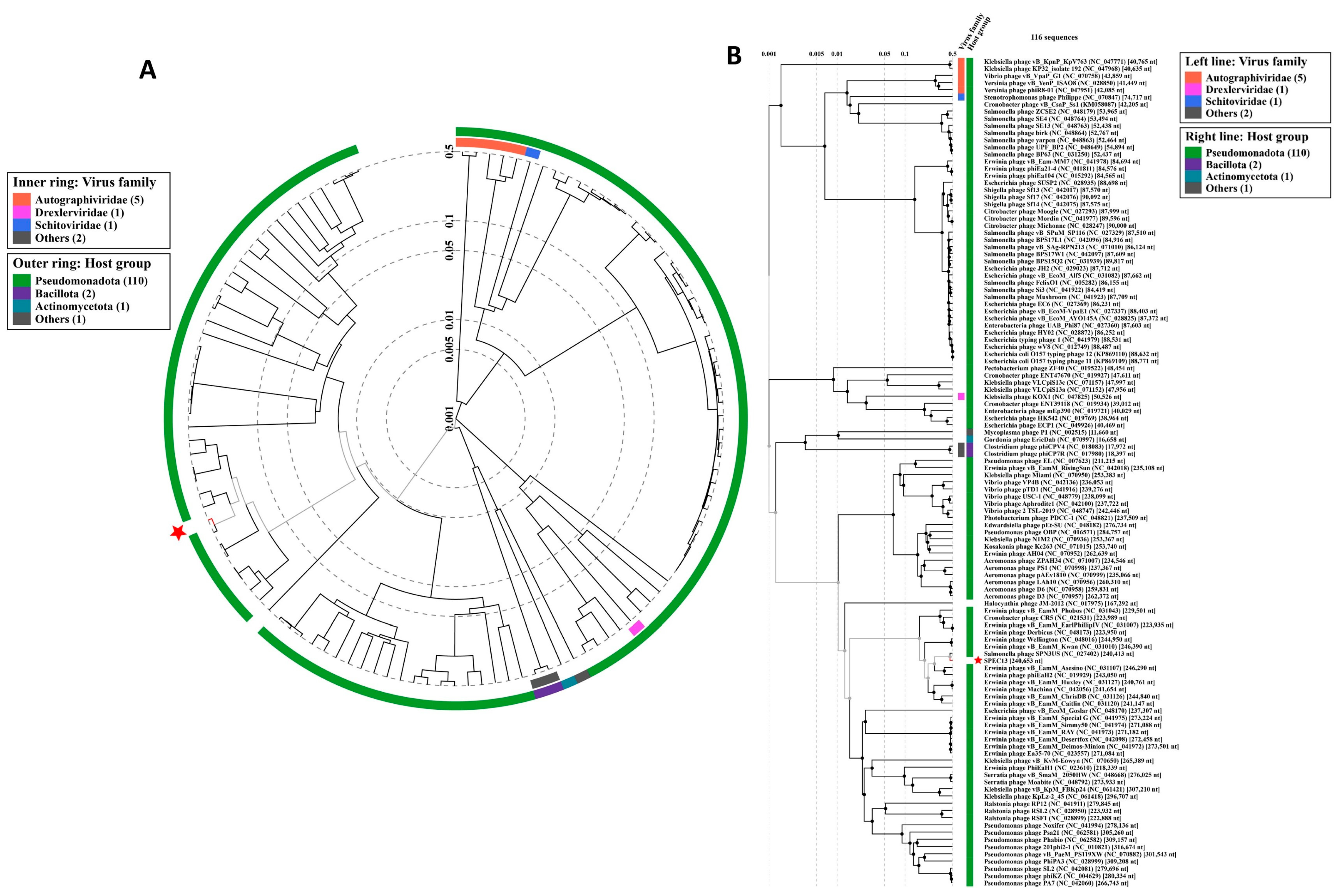 Biomedicines 12 02036 g003