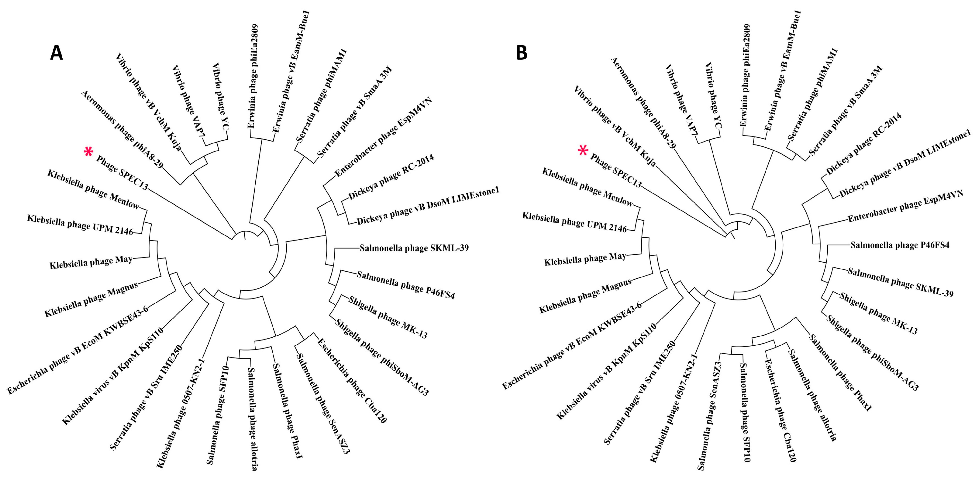 Biomedicines 12 02036 g004
