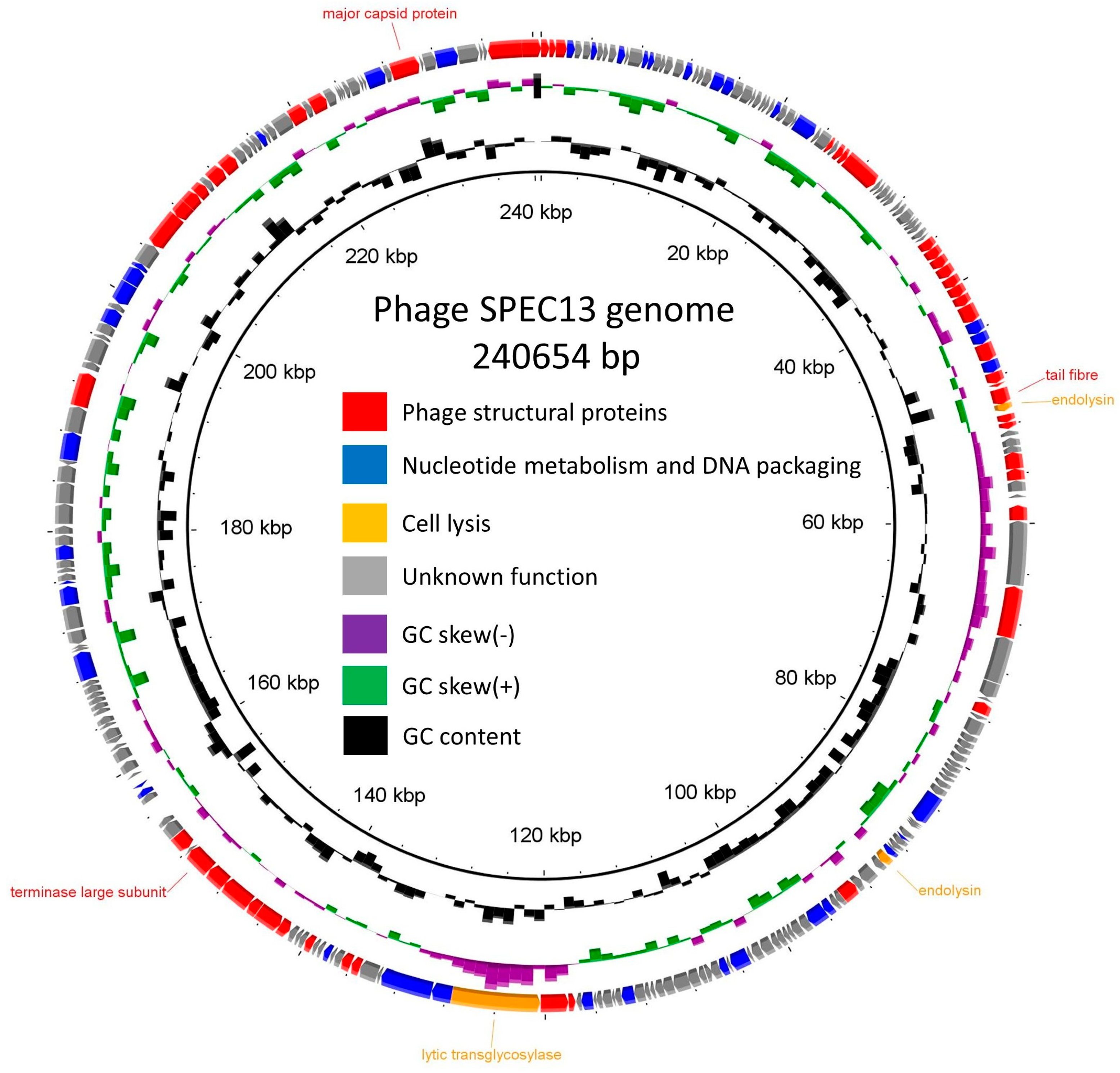 Biomedicines 12 02036 g005
