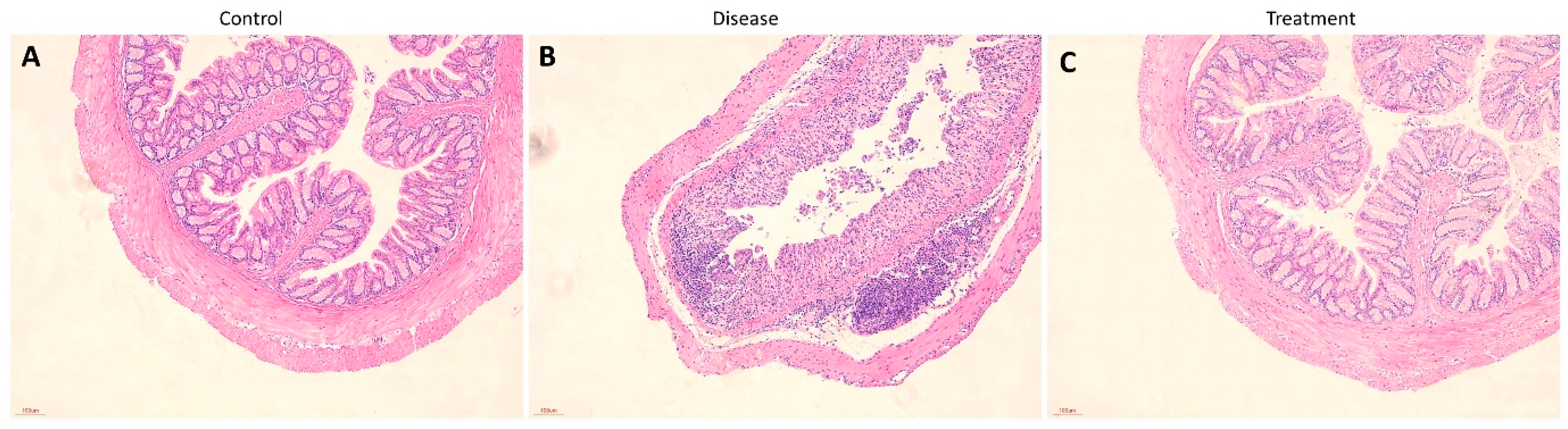 Biomedicines 12 02036 g008