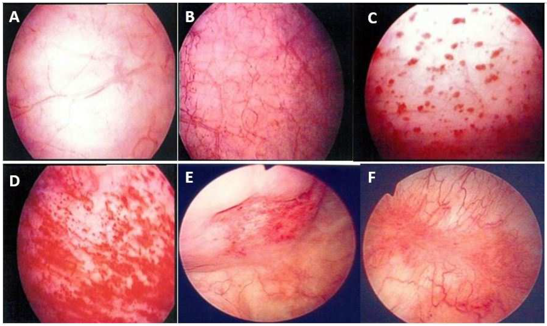 Biomedicines 12 02051 g002