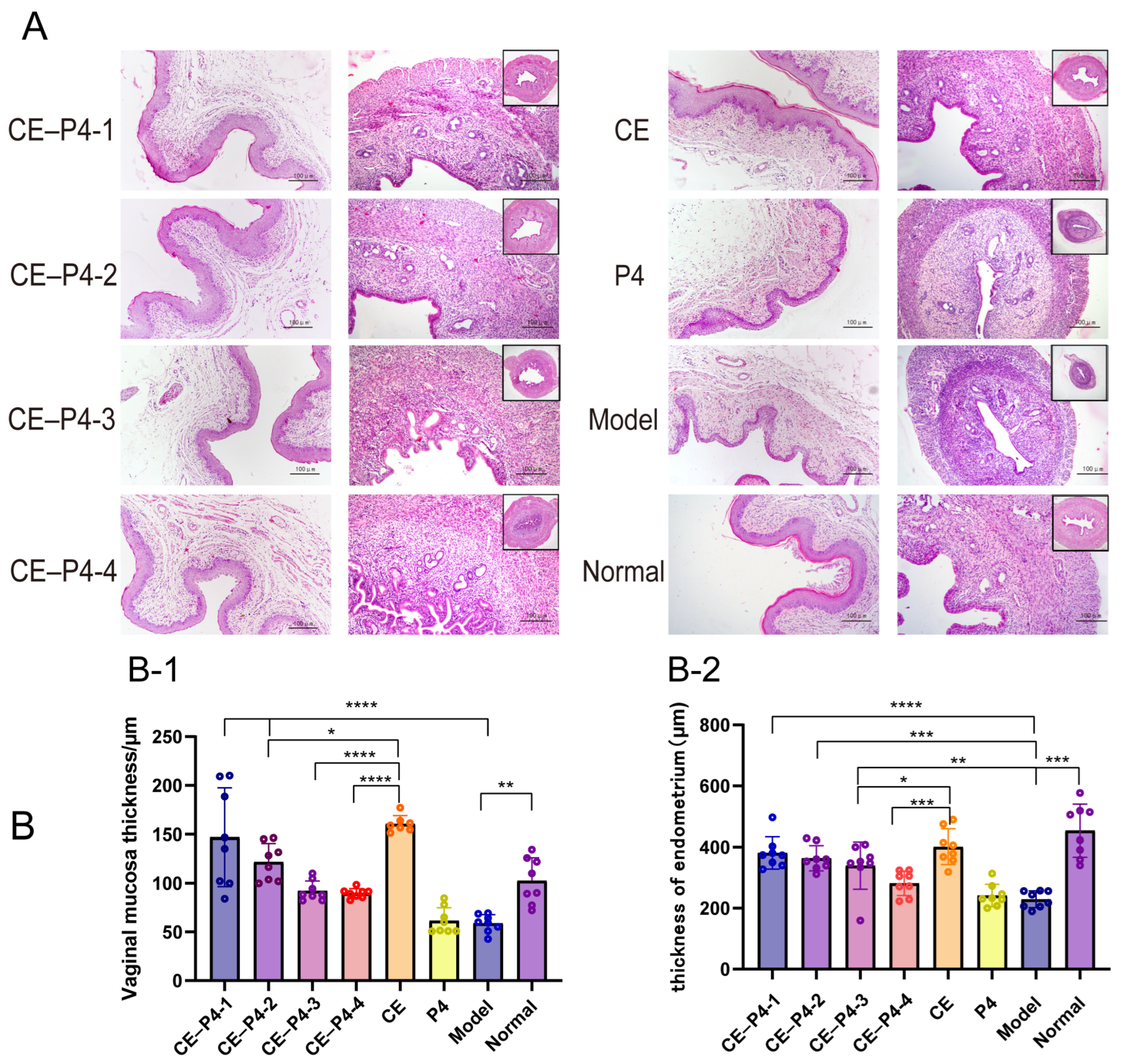 Biomedicines 12 02074 g004