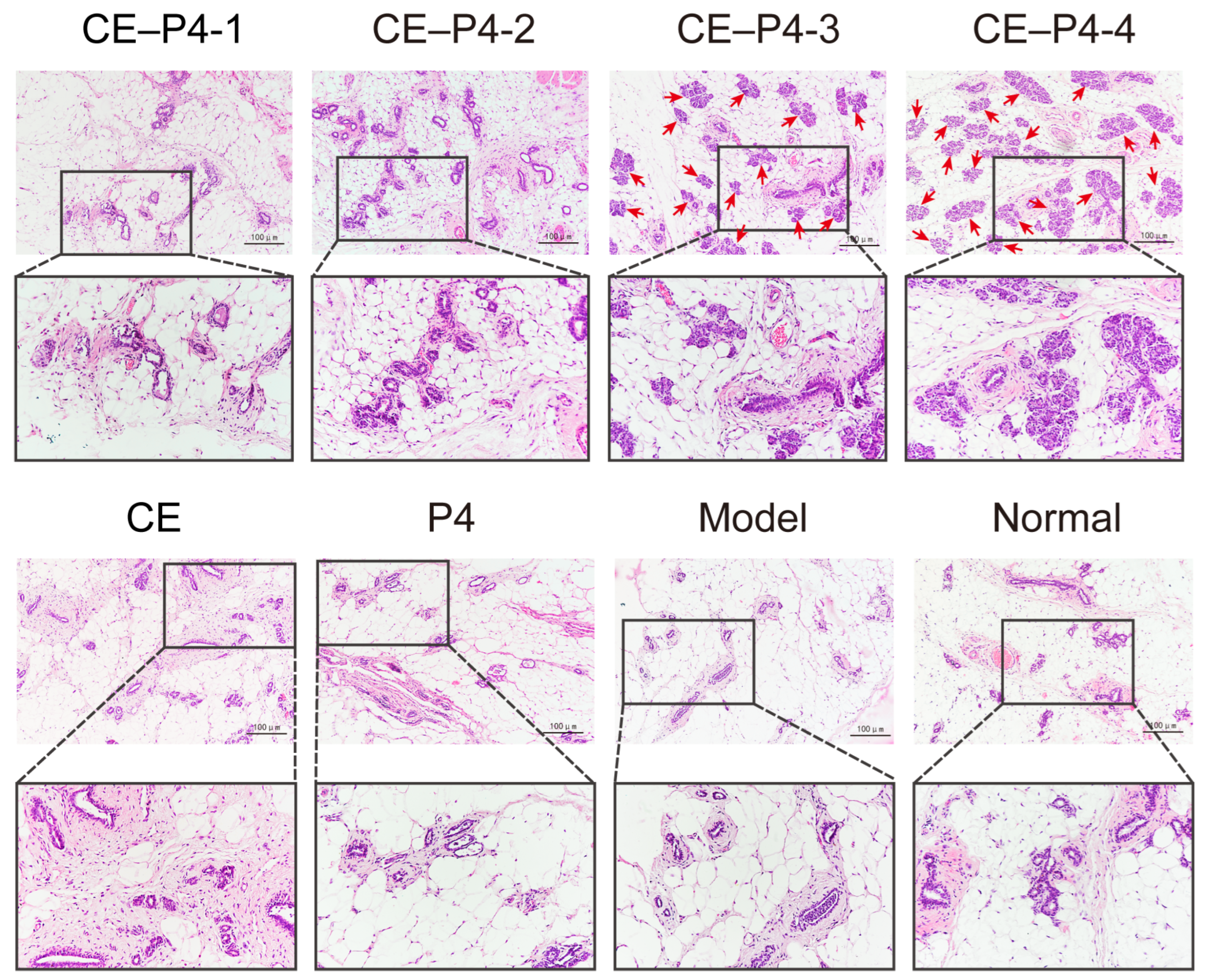 Biomedicines 12 02074 g005
