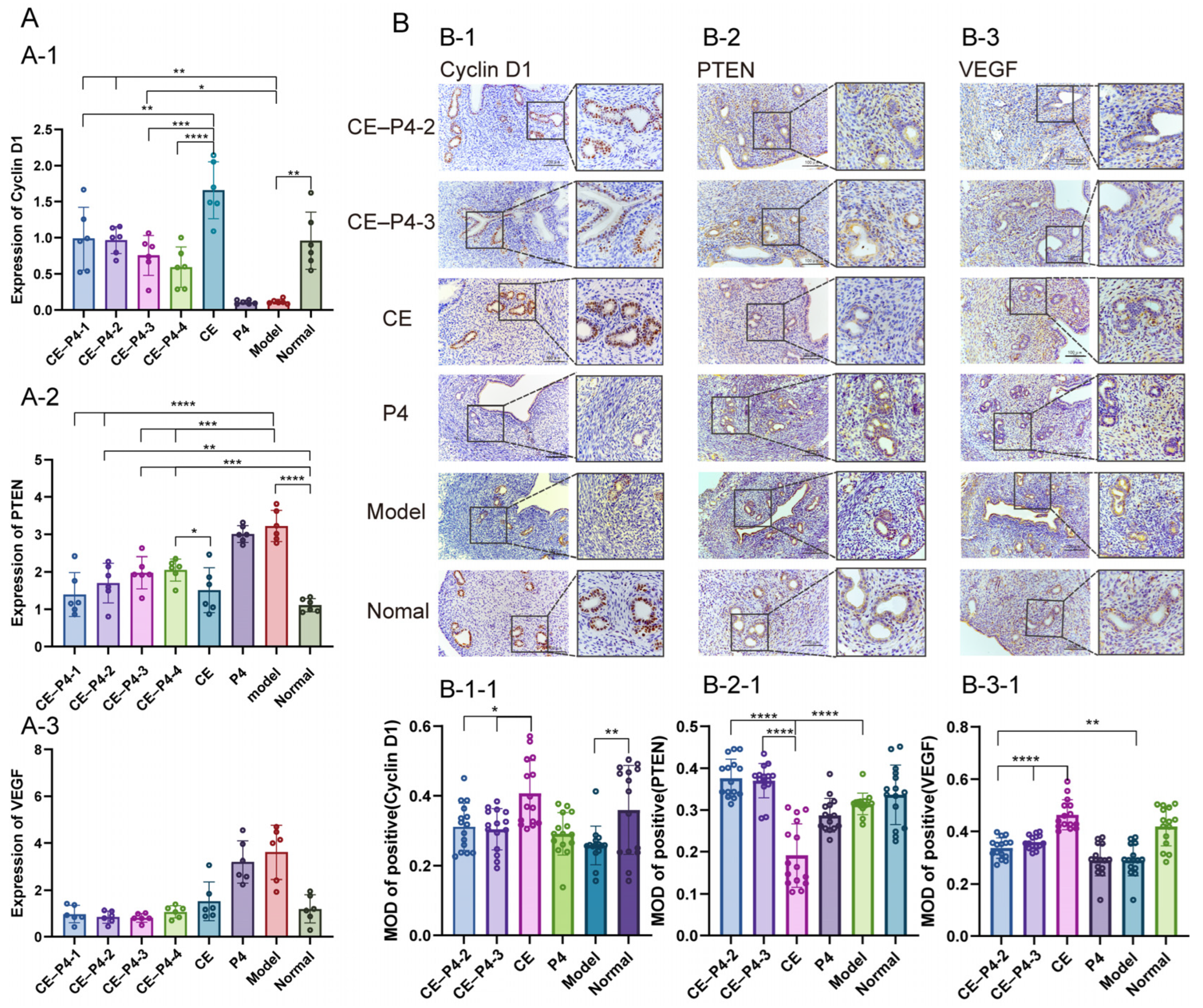 Biomedicines 12 02074 g007