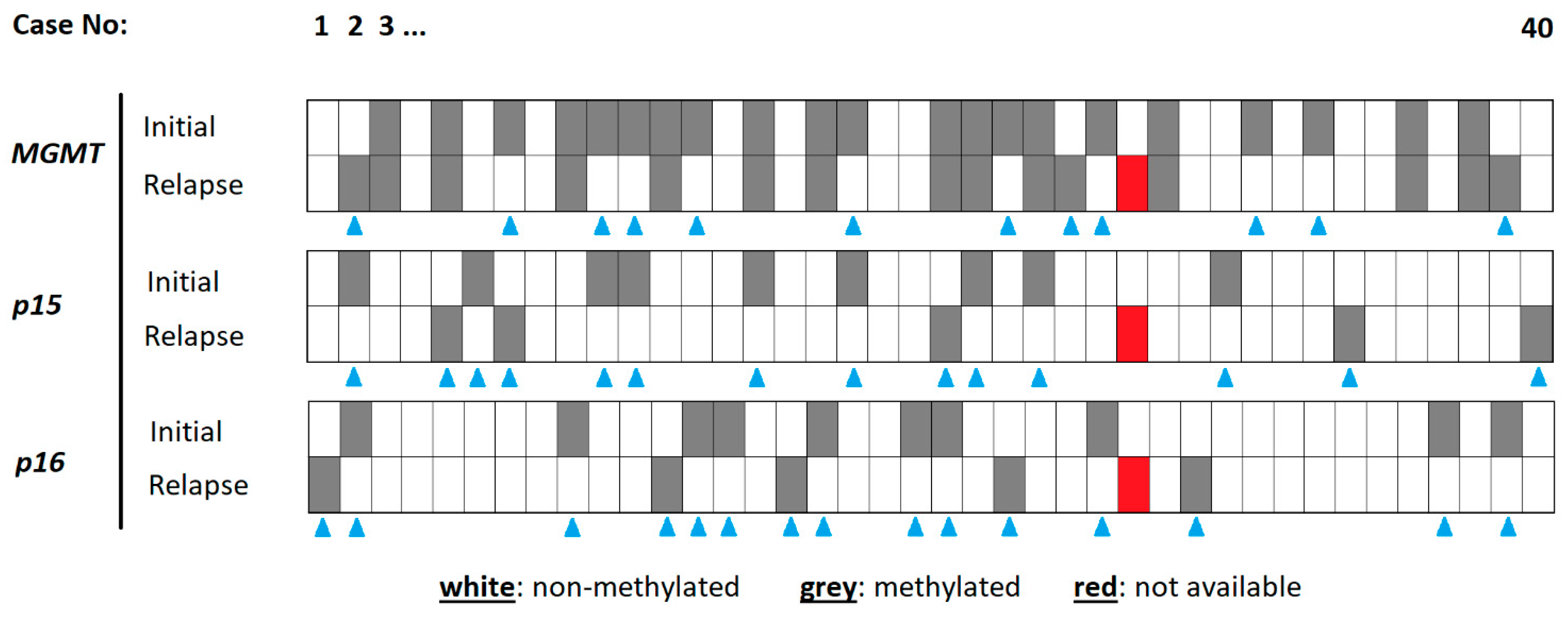 Biomedicines 12 02078 g001 Biomedicines 12 02078 g001