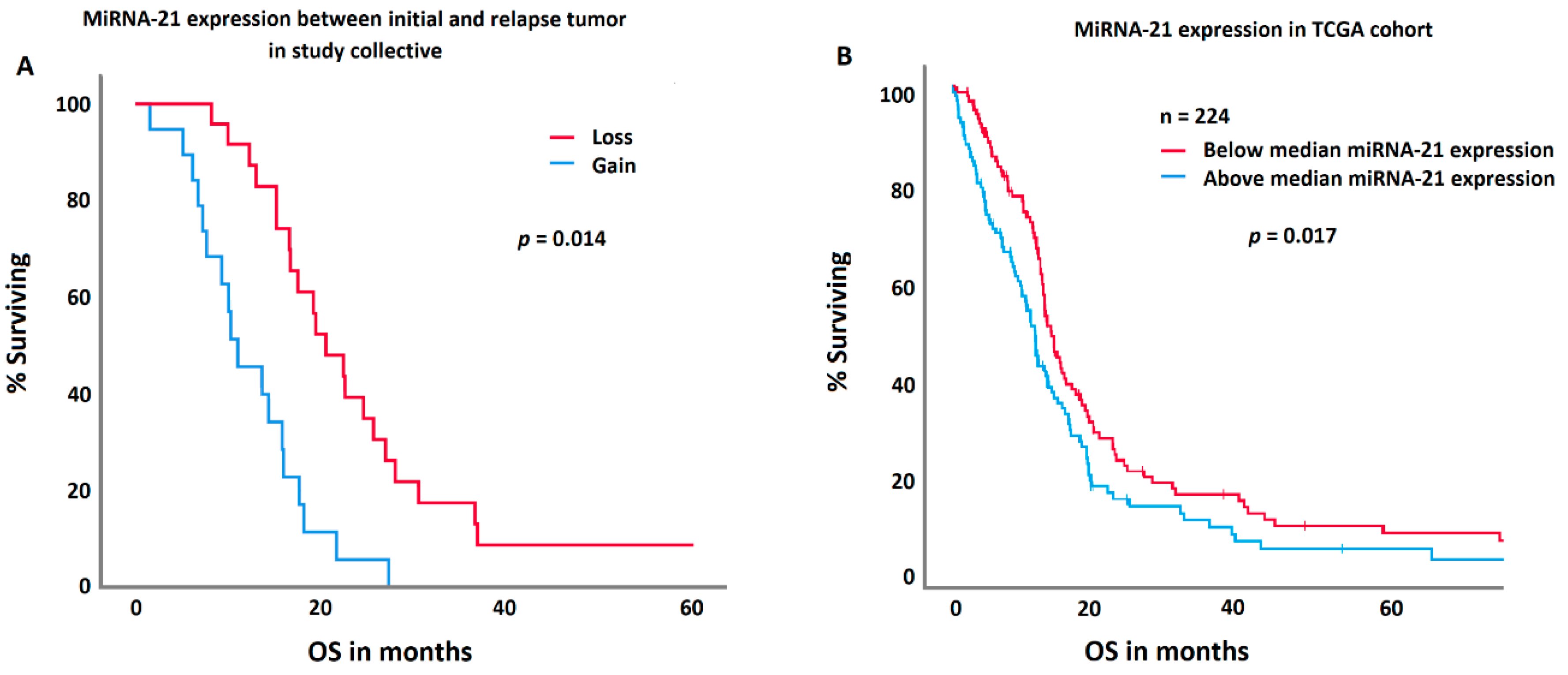 Biomedicines 12 02078 g004 Biomedicines 12 02078 g004