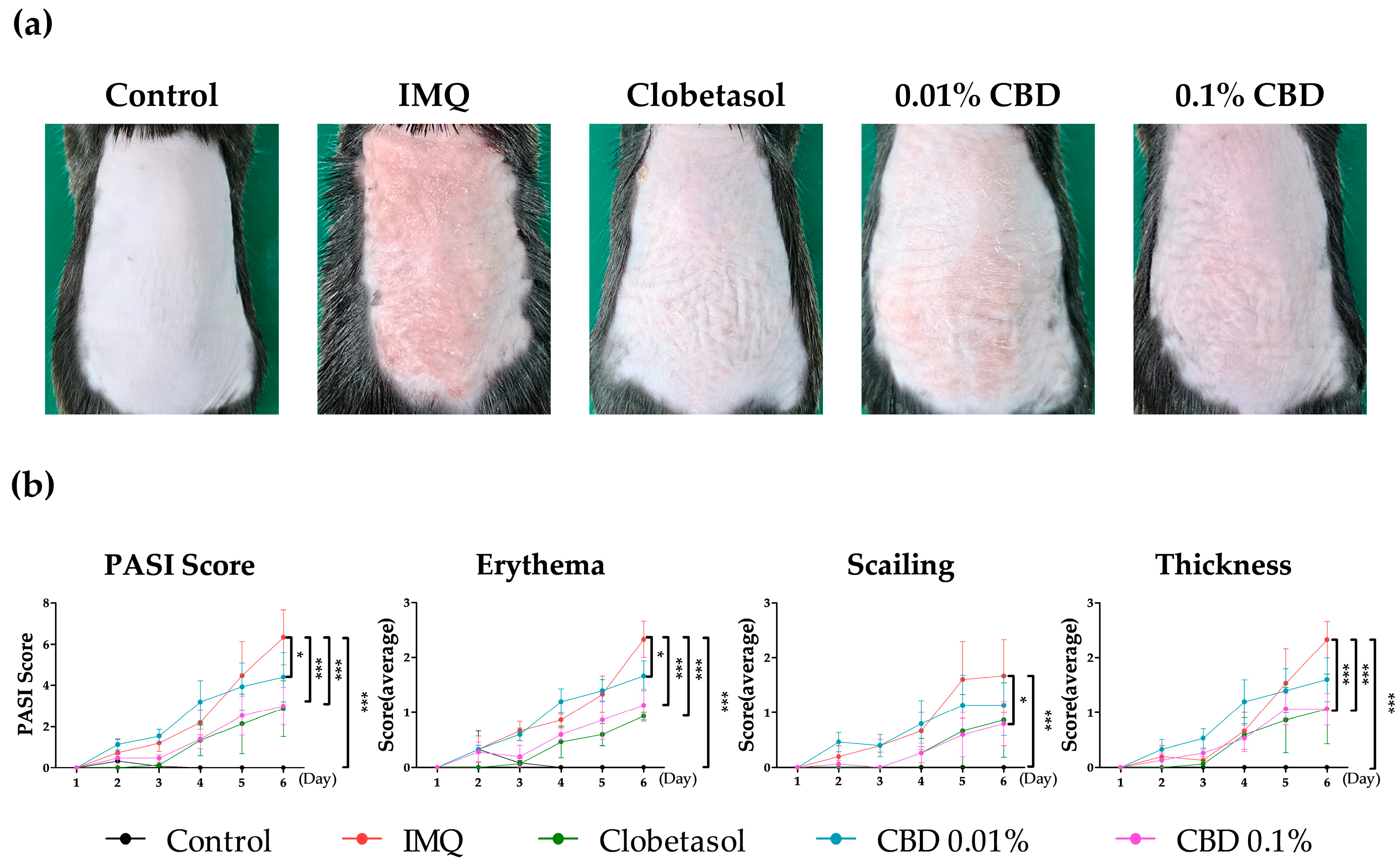 Biomedicines 12 02084 g002