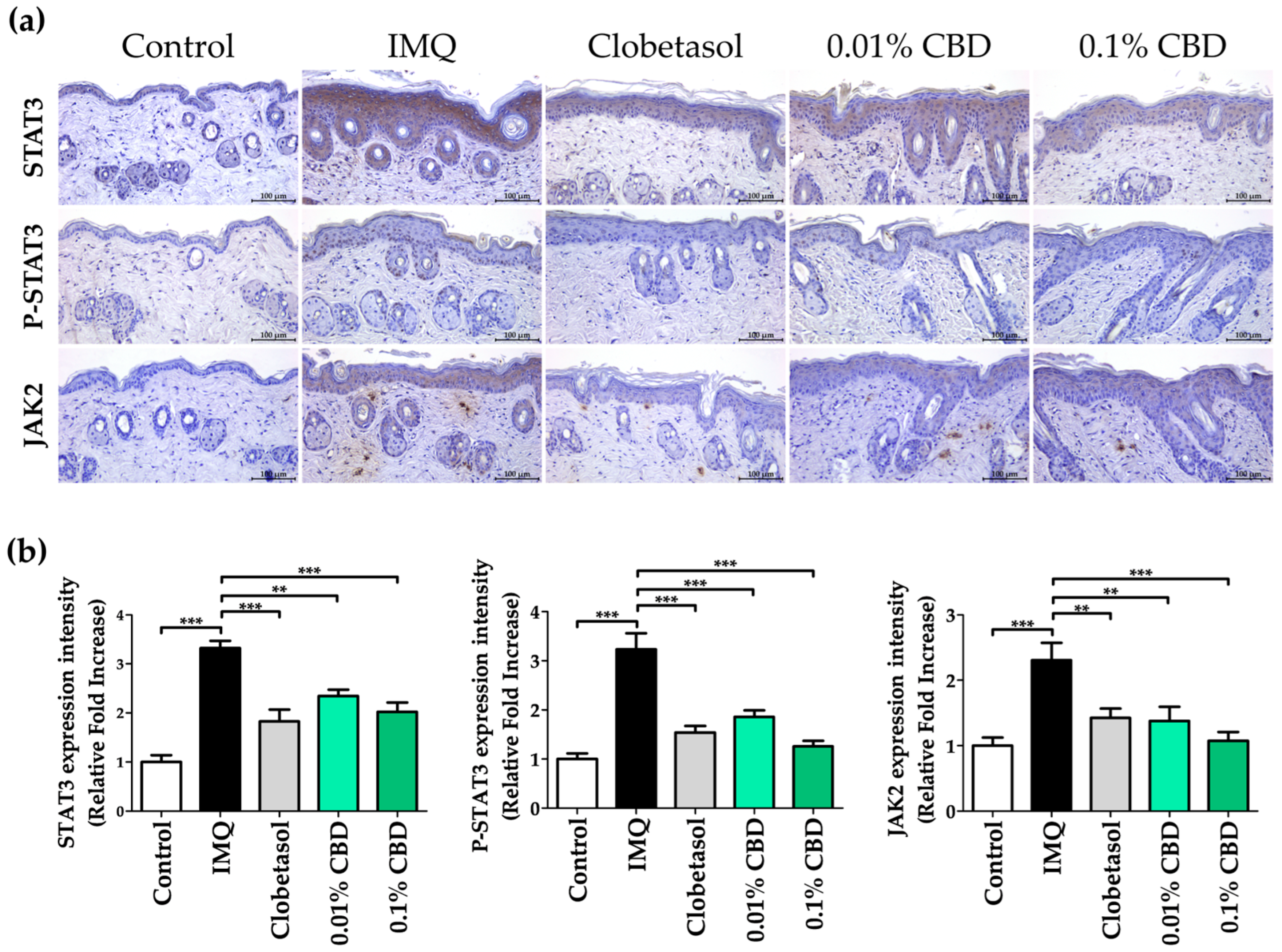 Biomedicines 12 02084 g006