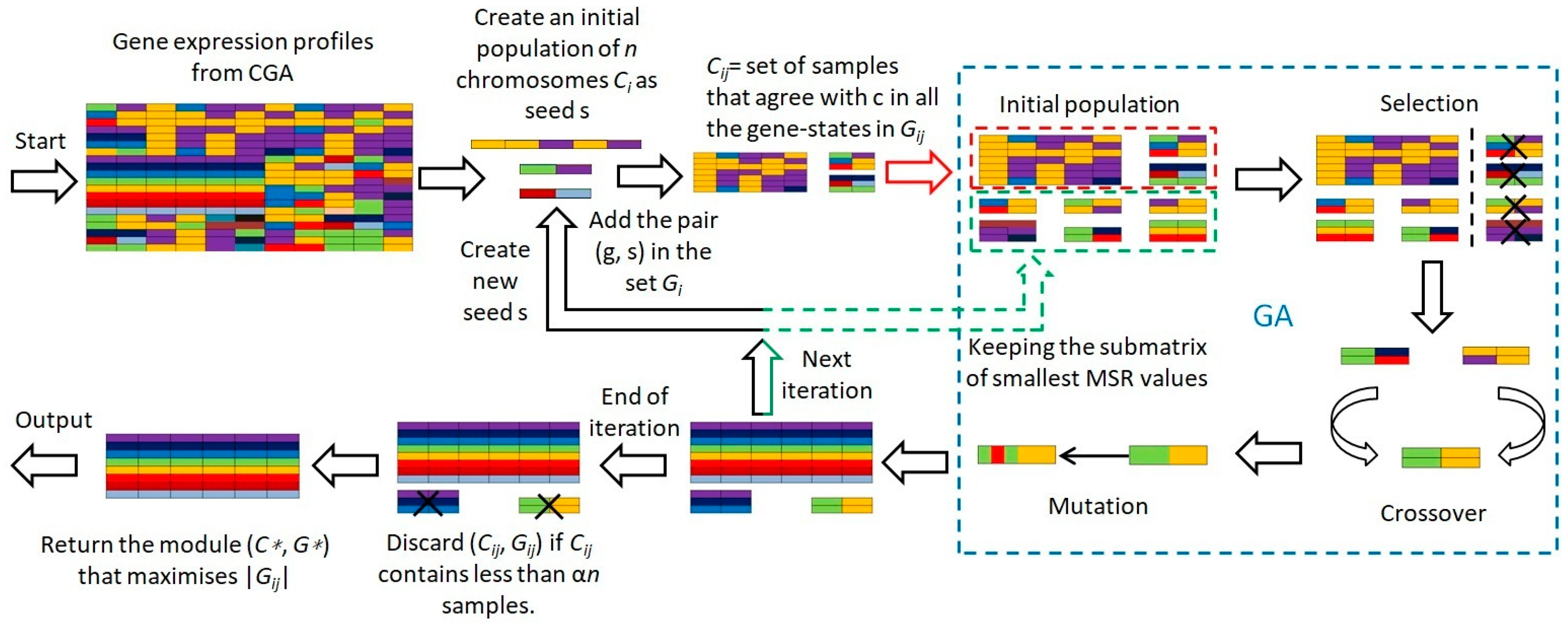 Biomedicines 12 02086 g001