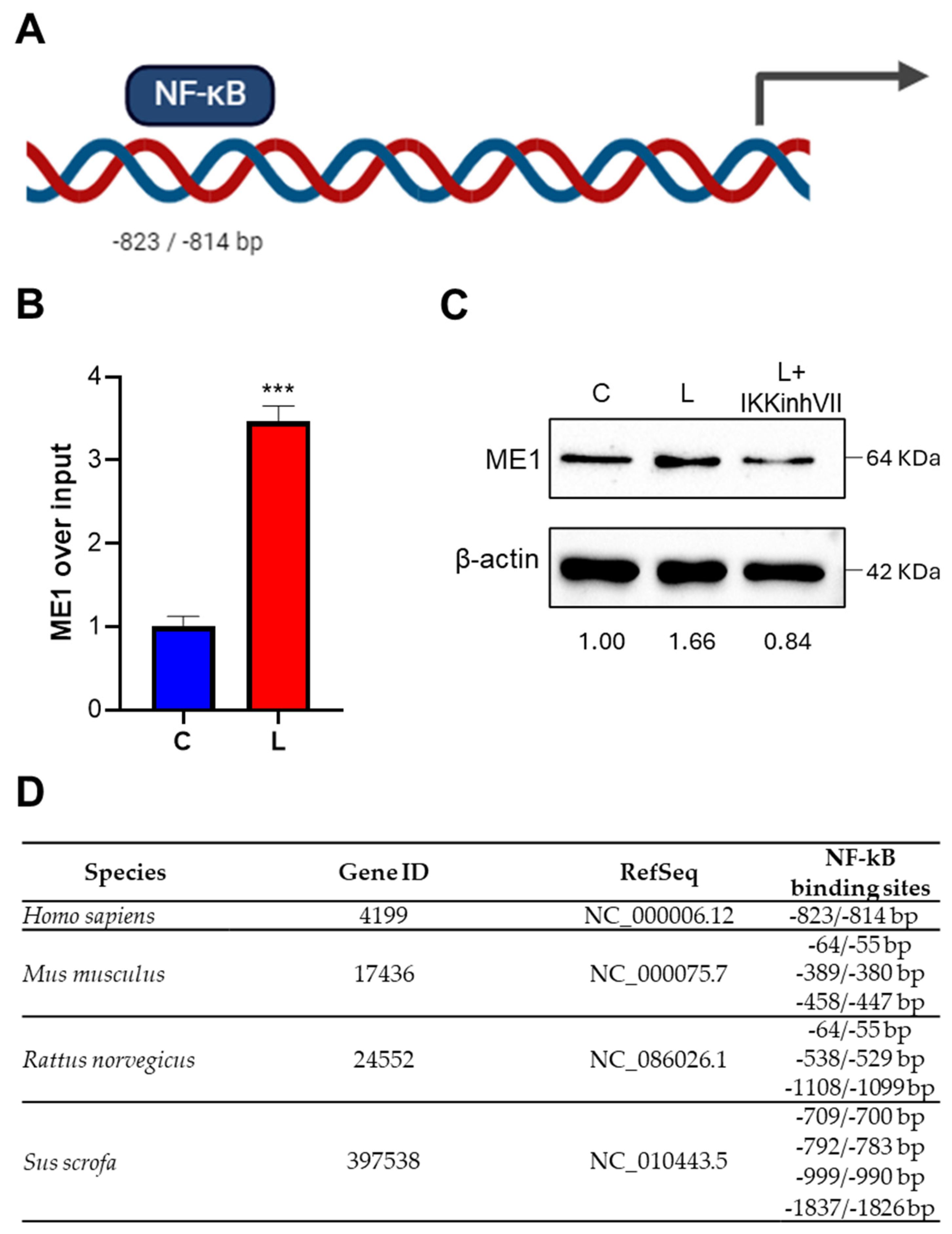 Biomedicines 12 02089 g003 Biomedicines 12 02089 g003