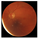 Biomedicines 12 02092 i015