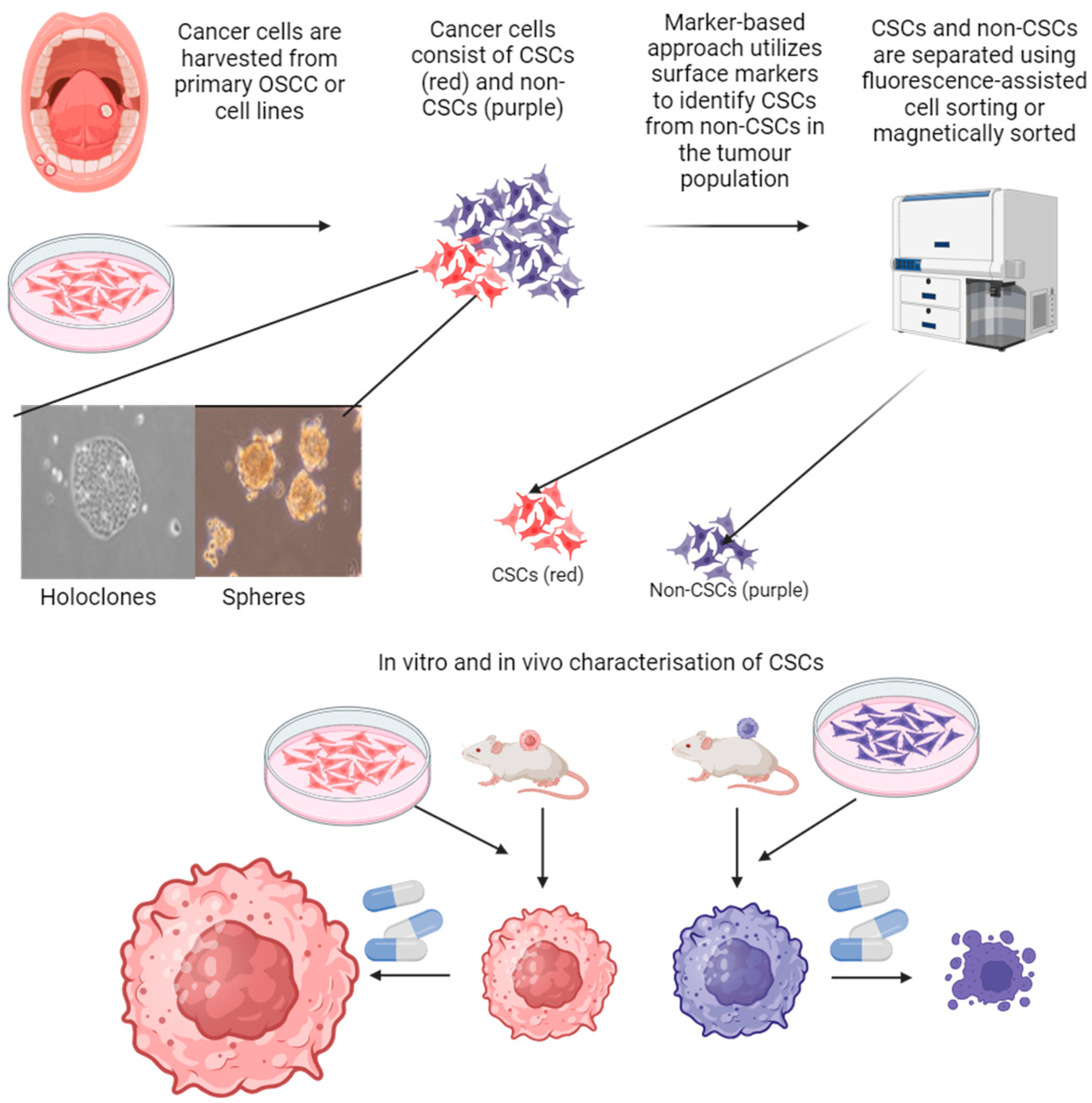Biomedicines 12 02111 g002
