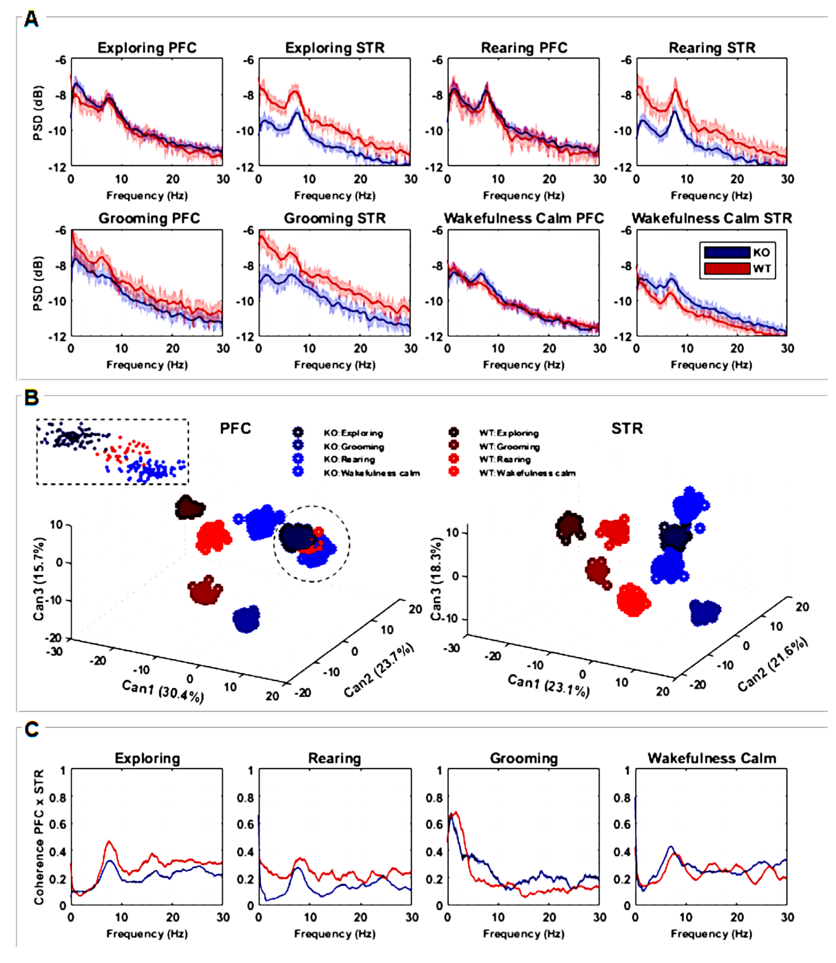 Biomedicines 12 02114 g002