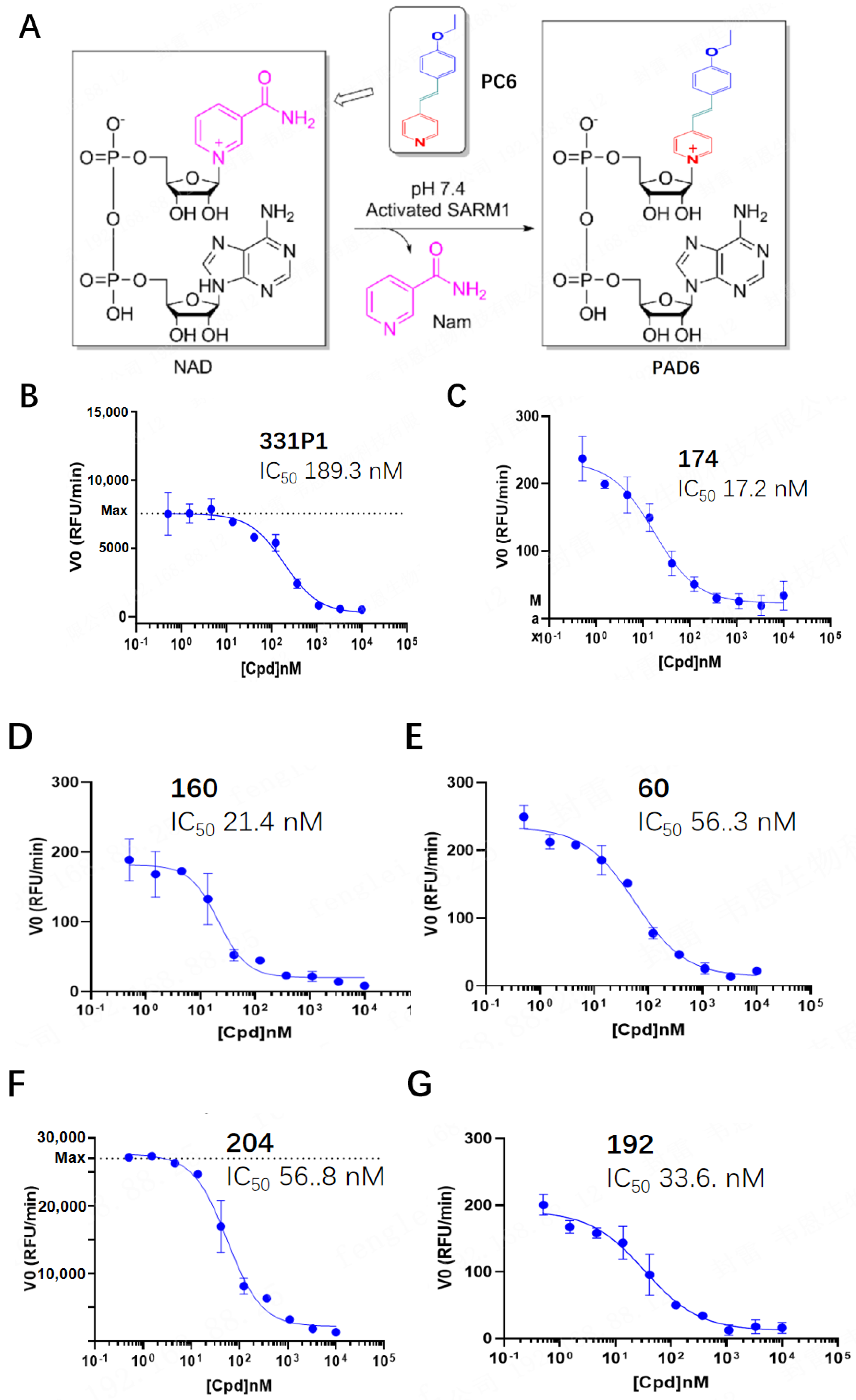 Biomedicines 12 02123 g001 Biomedicines 12 02123 g001