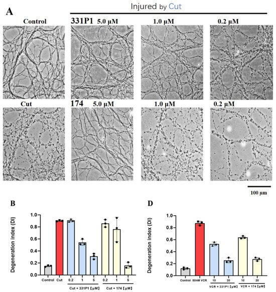 Biomedicines 12 02123 g003a Biomedicines 12 02123 g003a