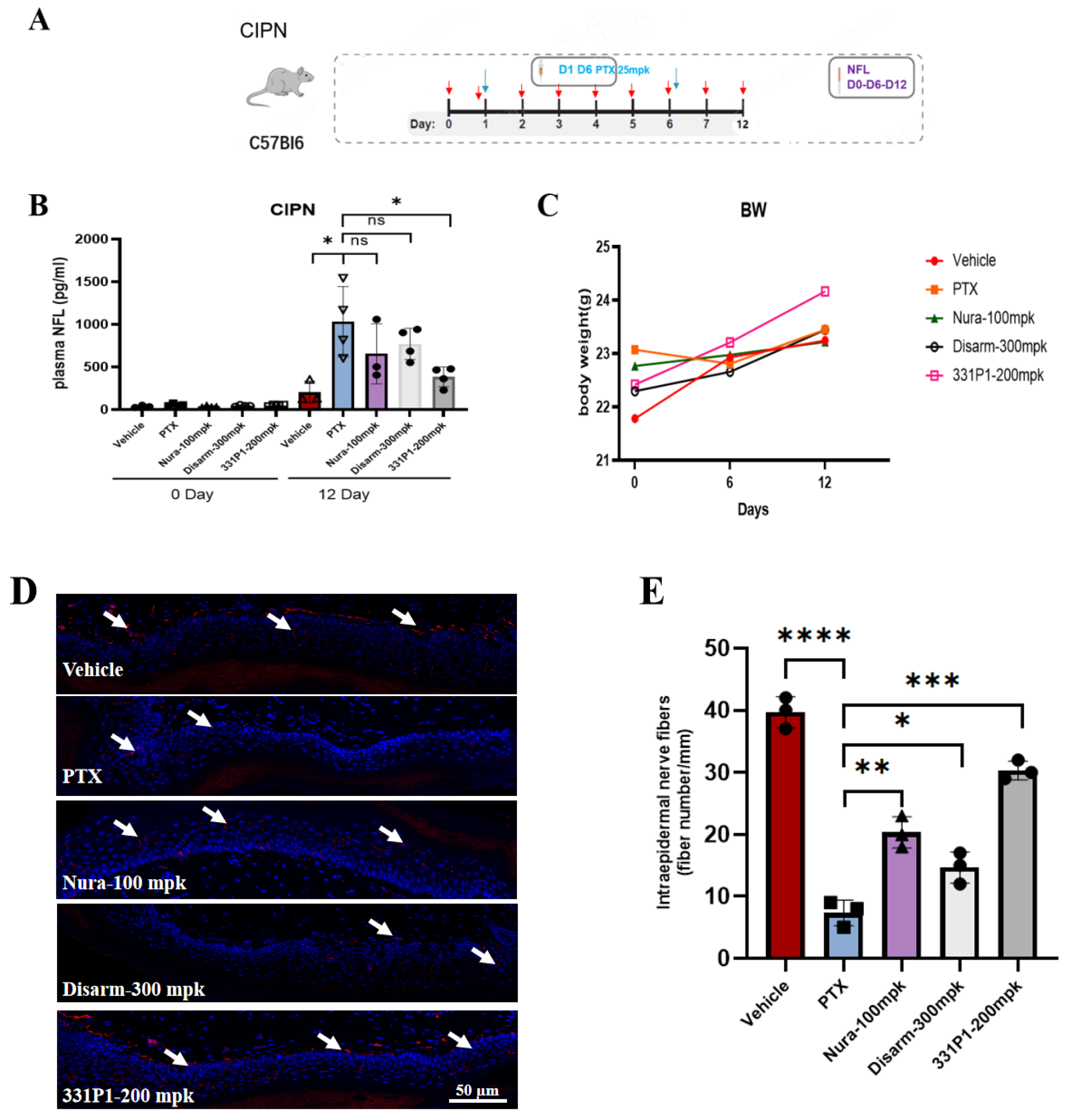 Biomedicines 12 02123 g006 Biomedicines 12 02123 g006